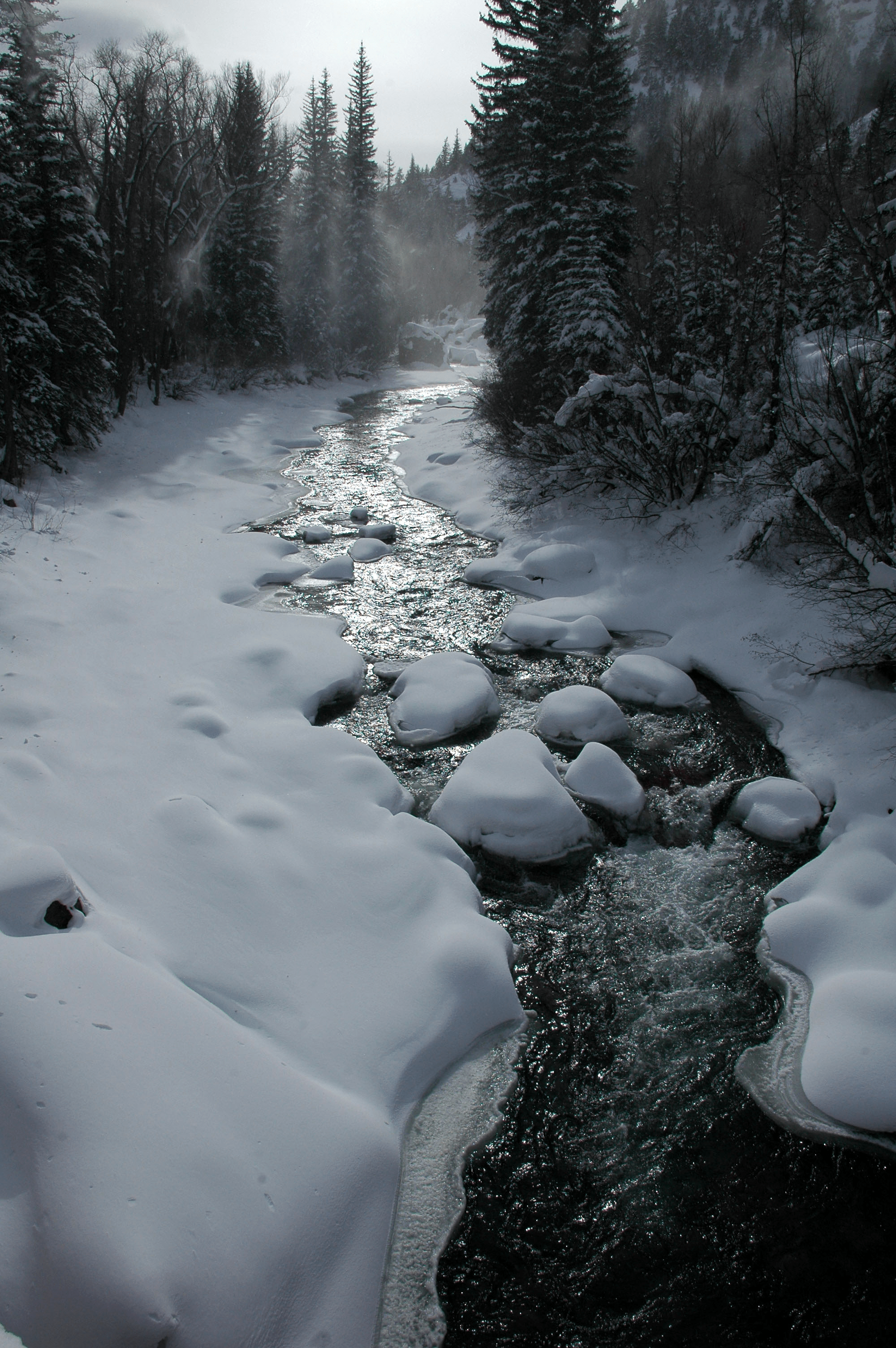 Snowy Christmas Eve on the Crystal River north of Redstone, Colorado