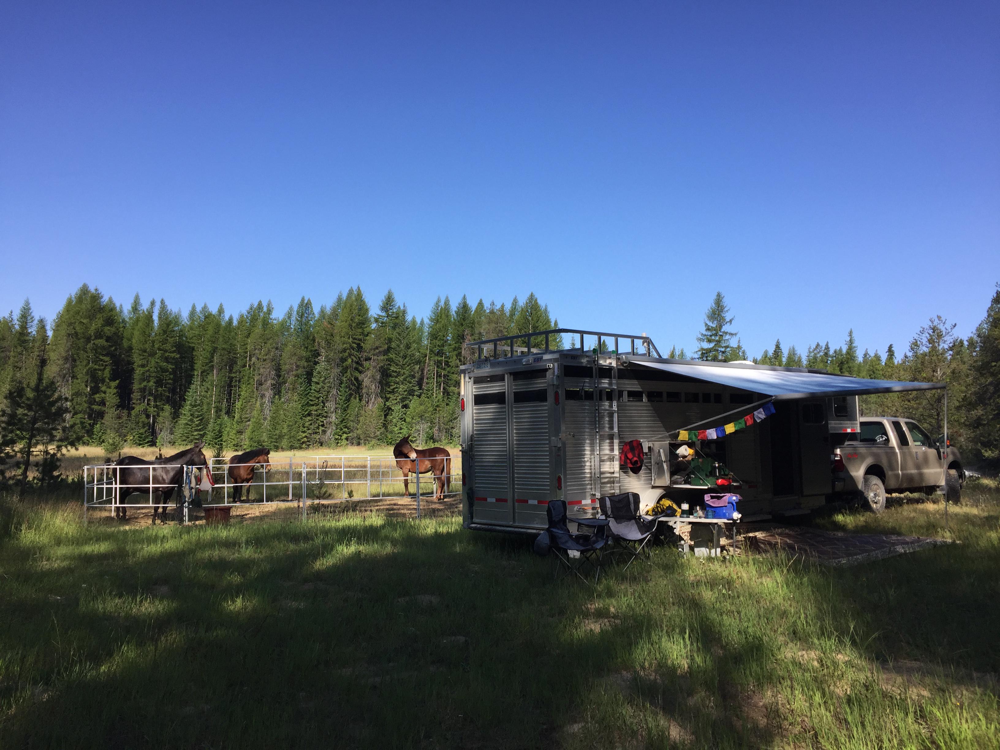 My camping setup in the Colville National Forest in WA Glamping at