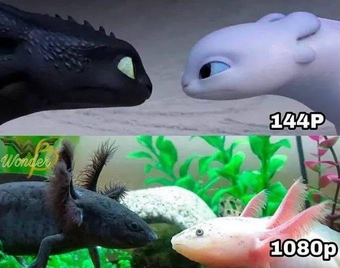 i don't have an axolotl but i do have a fresh meme r/axolotls