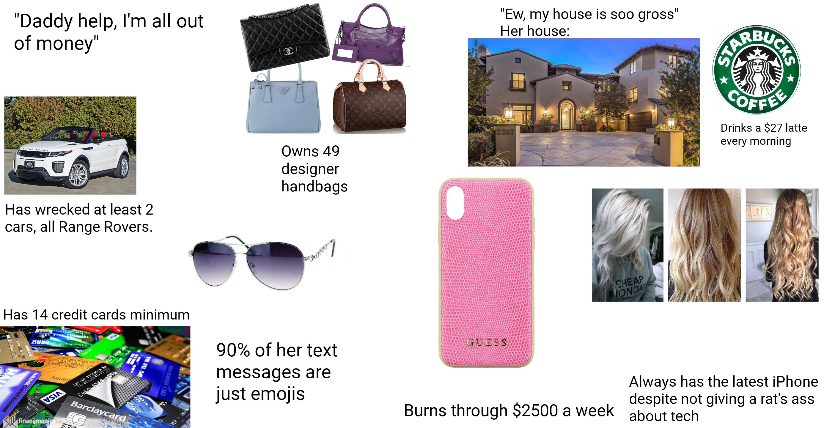Spoiled Los Angeles valley girl starterpack r/starterpacks