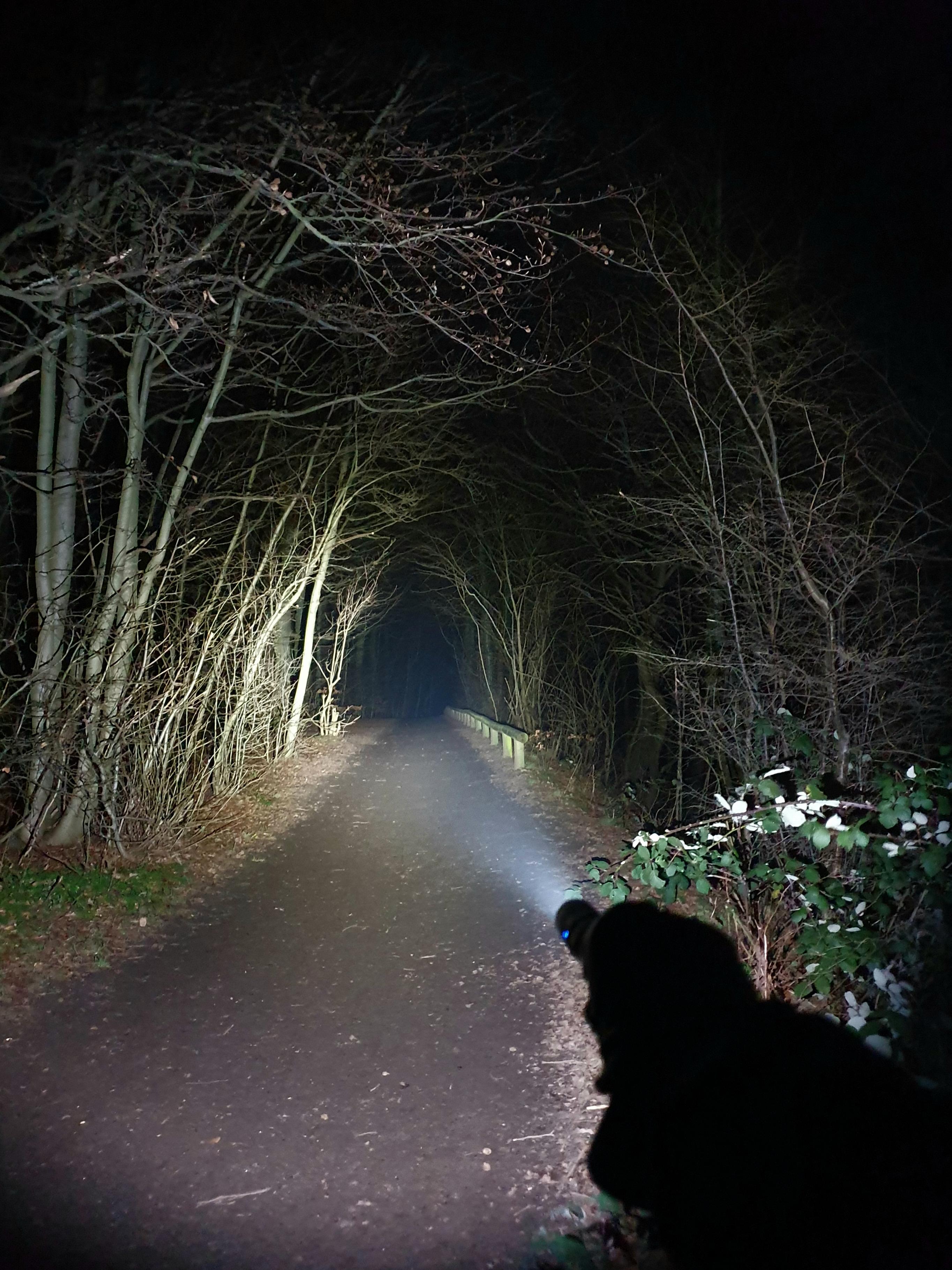 Flashlight In The Dark