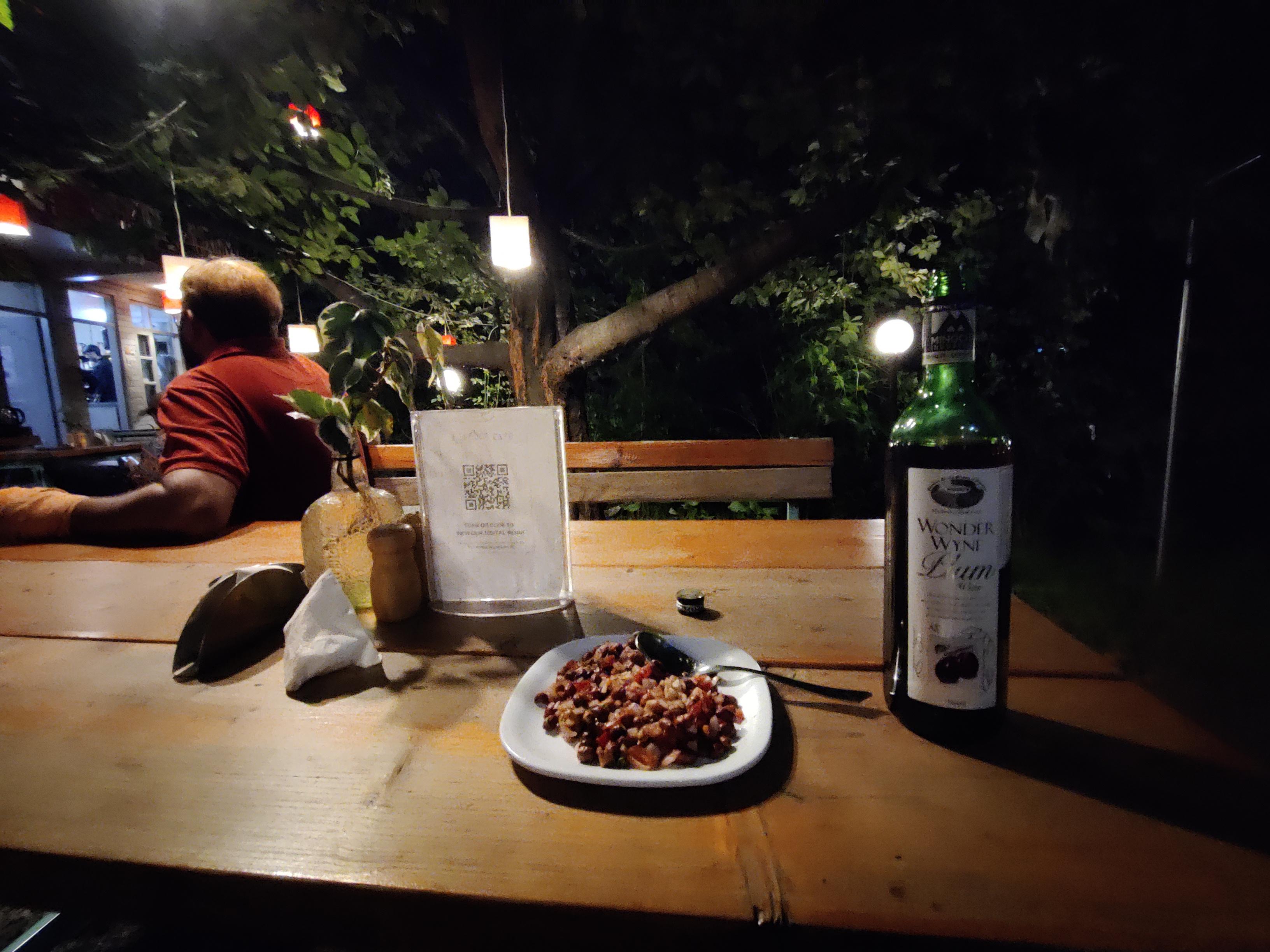 Tasting Himachal wine and chilling at Zostel Manali p r/Ni_Bondha