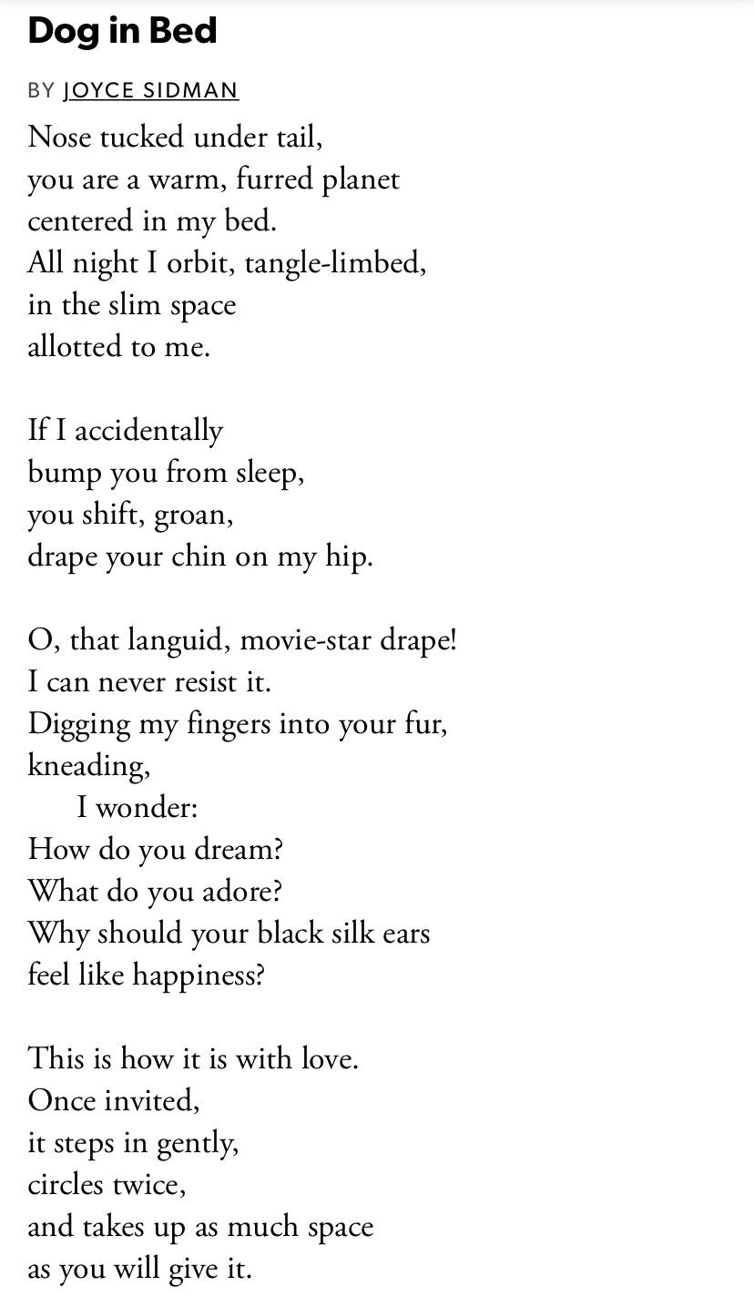 [POEM] Dog In Bed Joyce Sidman r/Poetry