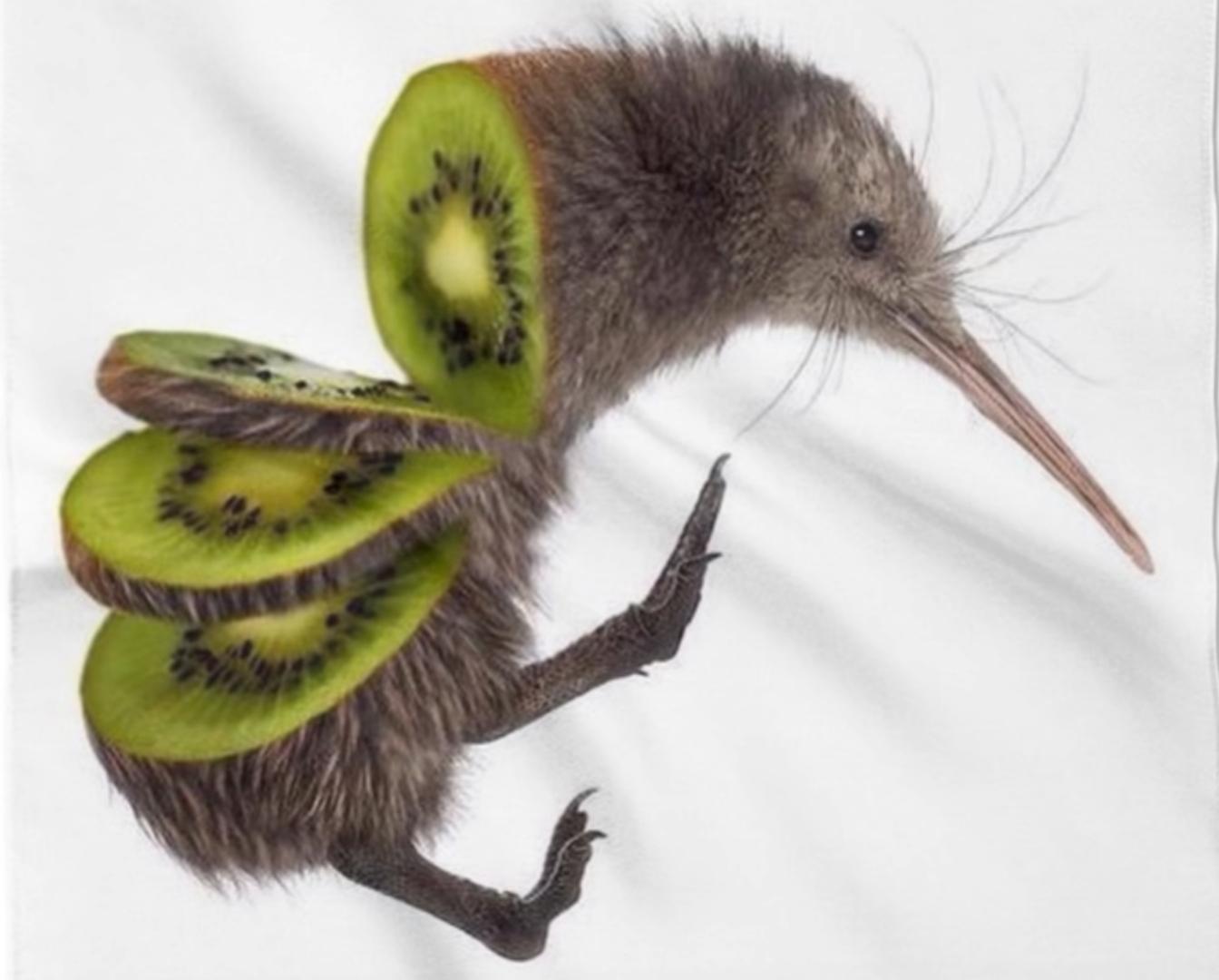 Kiwi thanksihateit