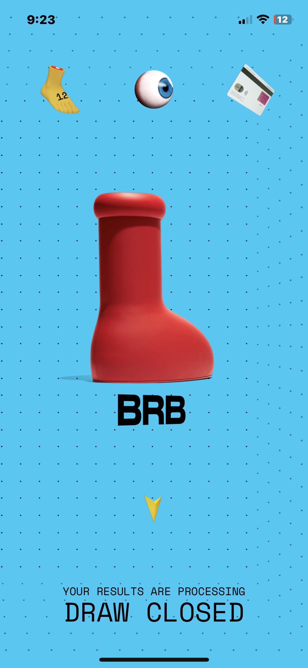 how long does processing take r/mschf