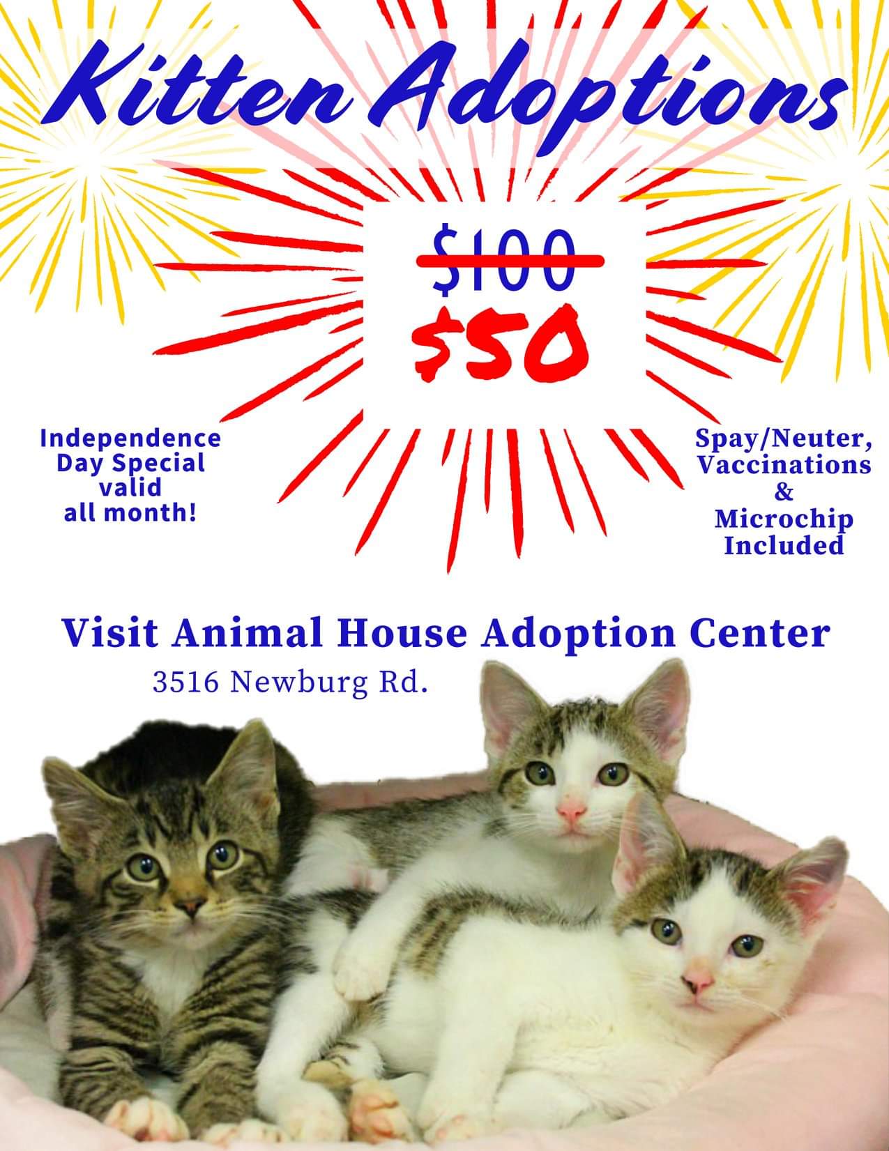 Half off adoption the month of July! Includes shots and microchip! r