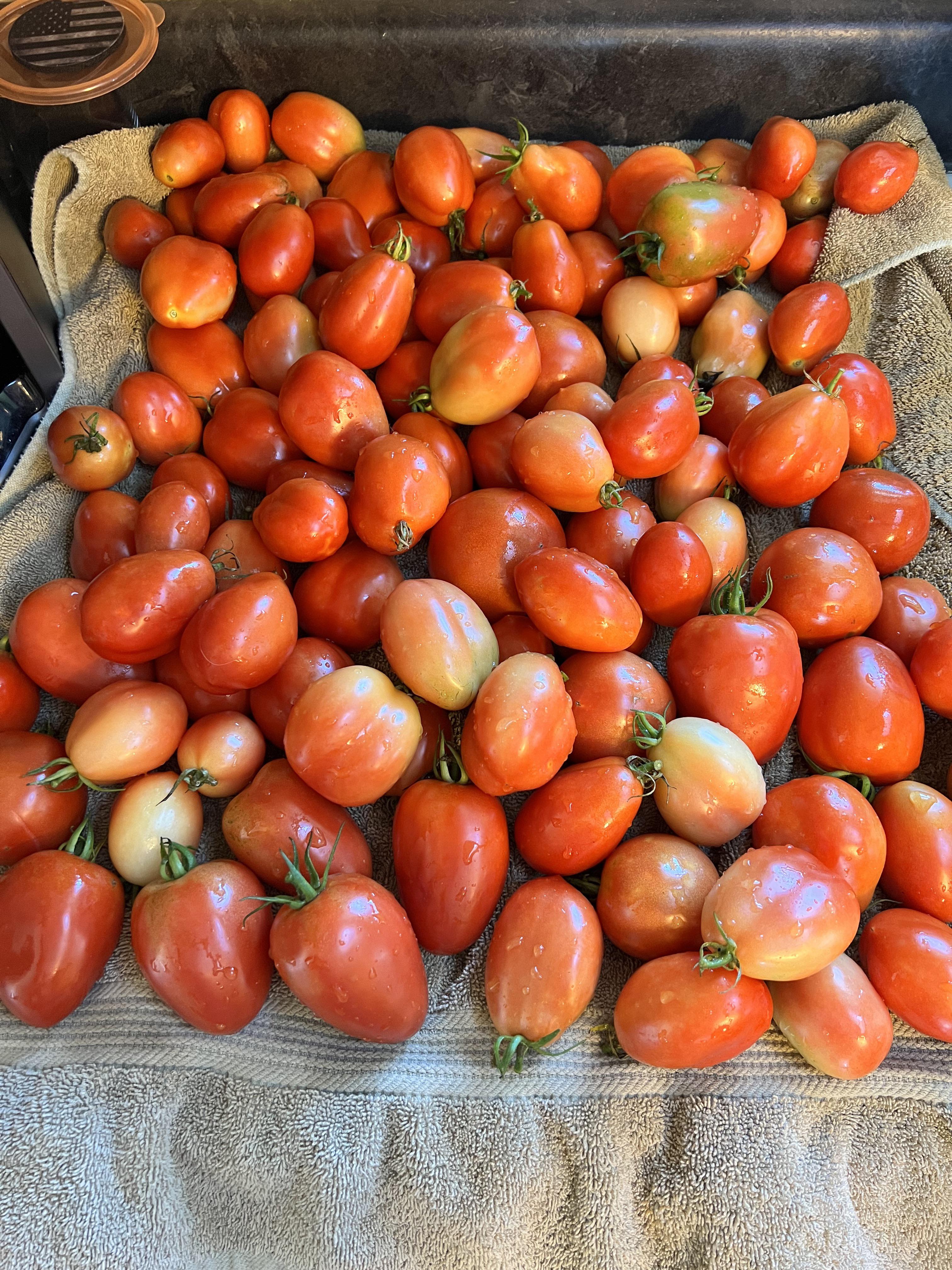 Tomatoes are just about done for the season. Amish paste, san marzano