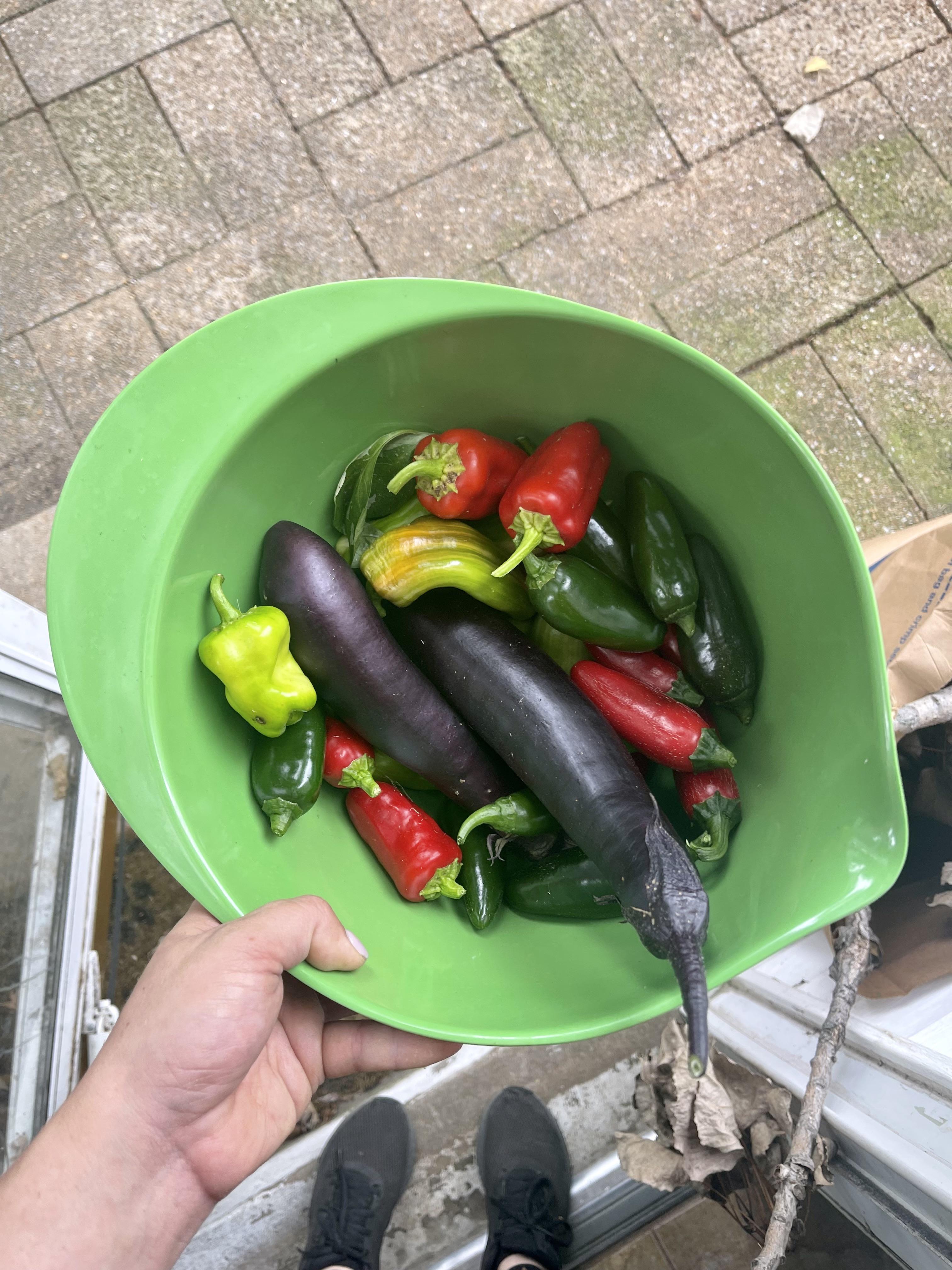 My first harvest this year in my new house! Japanese eggplant, candy