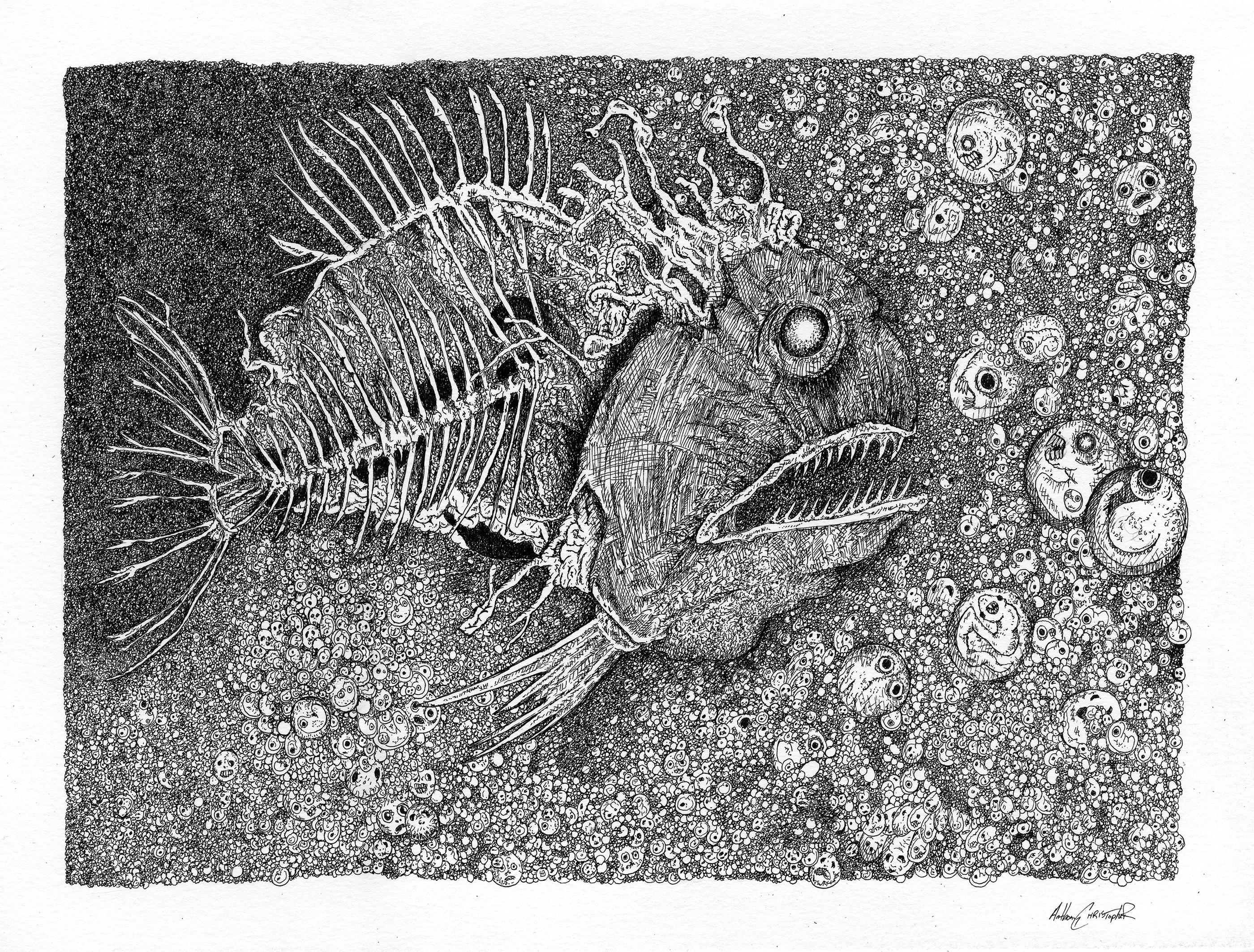 Fish Eggs. 9x12" 2018 r/AnthonyChristopherArt