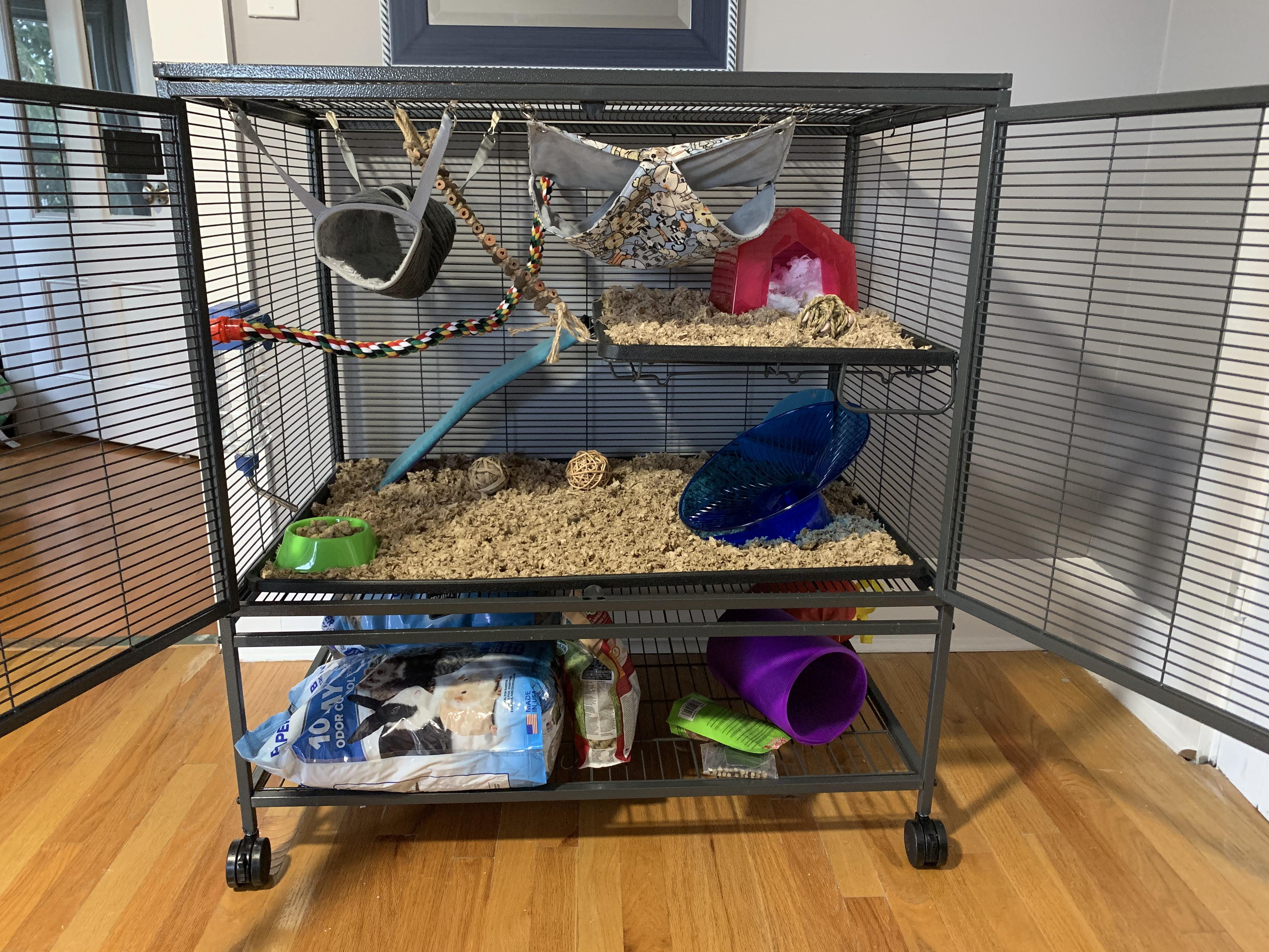 Getting my first 2 babies on Saturday! This is my cage setup... tips