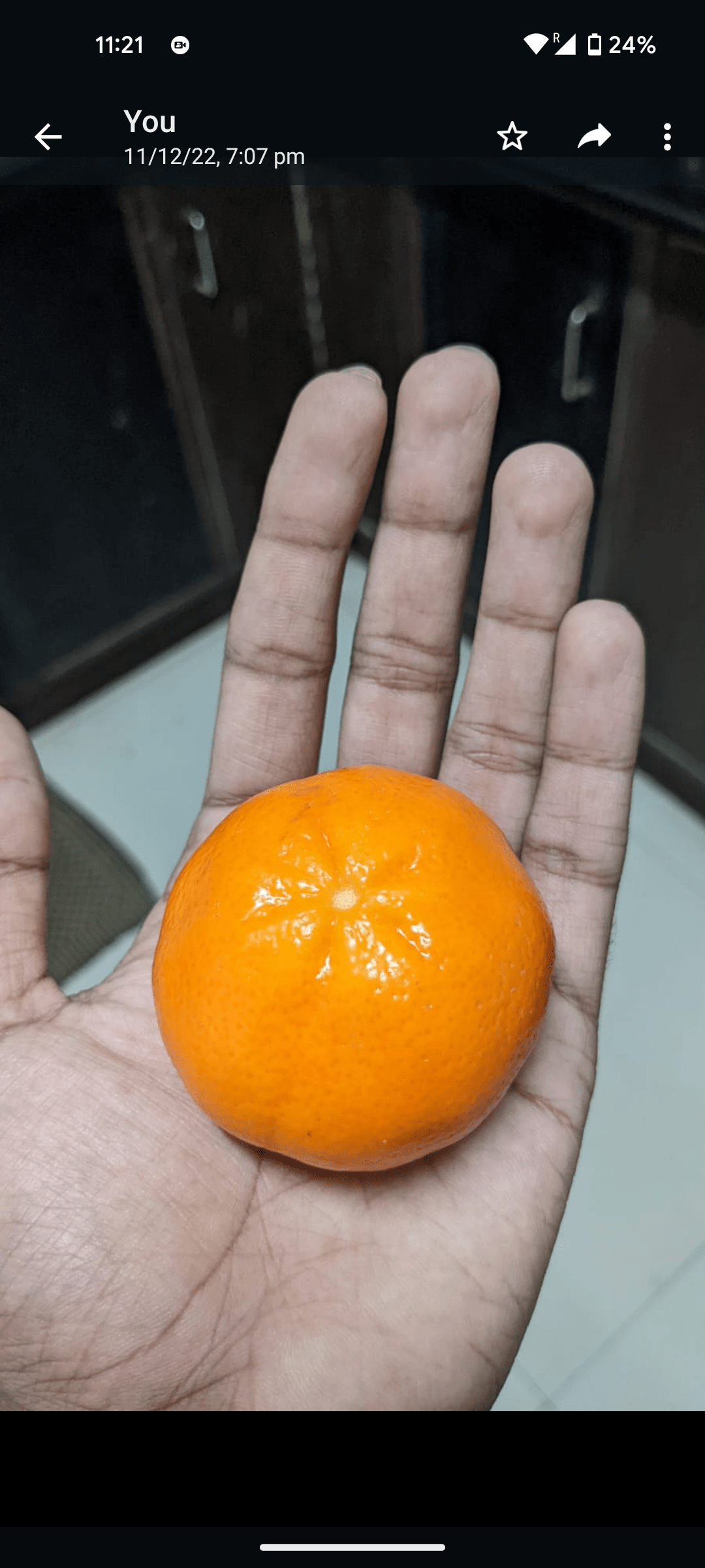 Which citrus is this? Could this be a Clementine. No seeds at all or