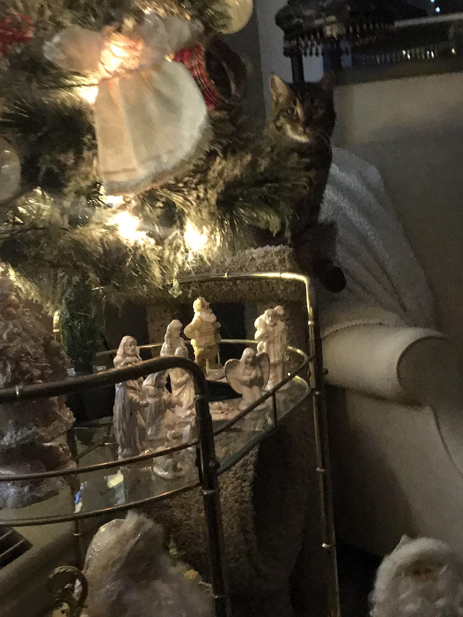 New Nook For Christmas 2023 Reddit Dive into anything