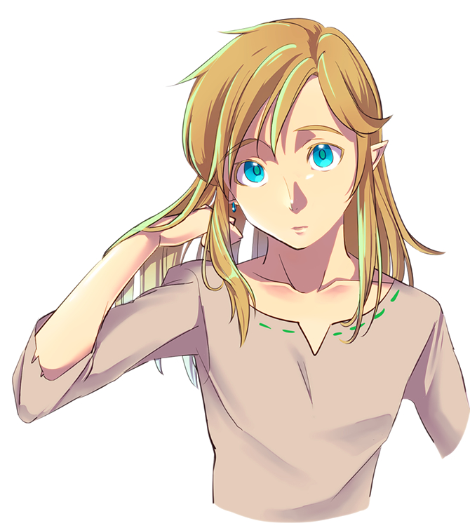 BotW Link with his hair down r/linkiscute