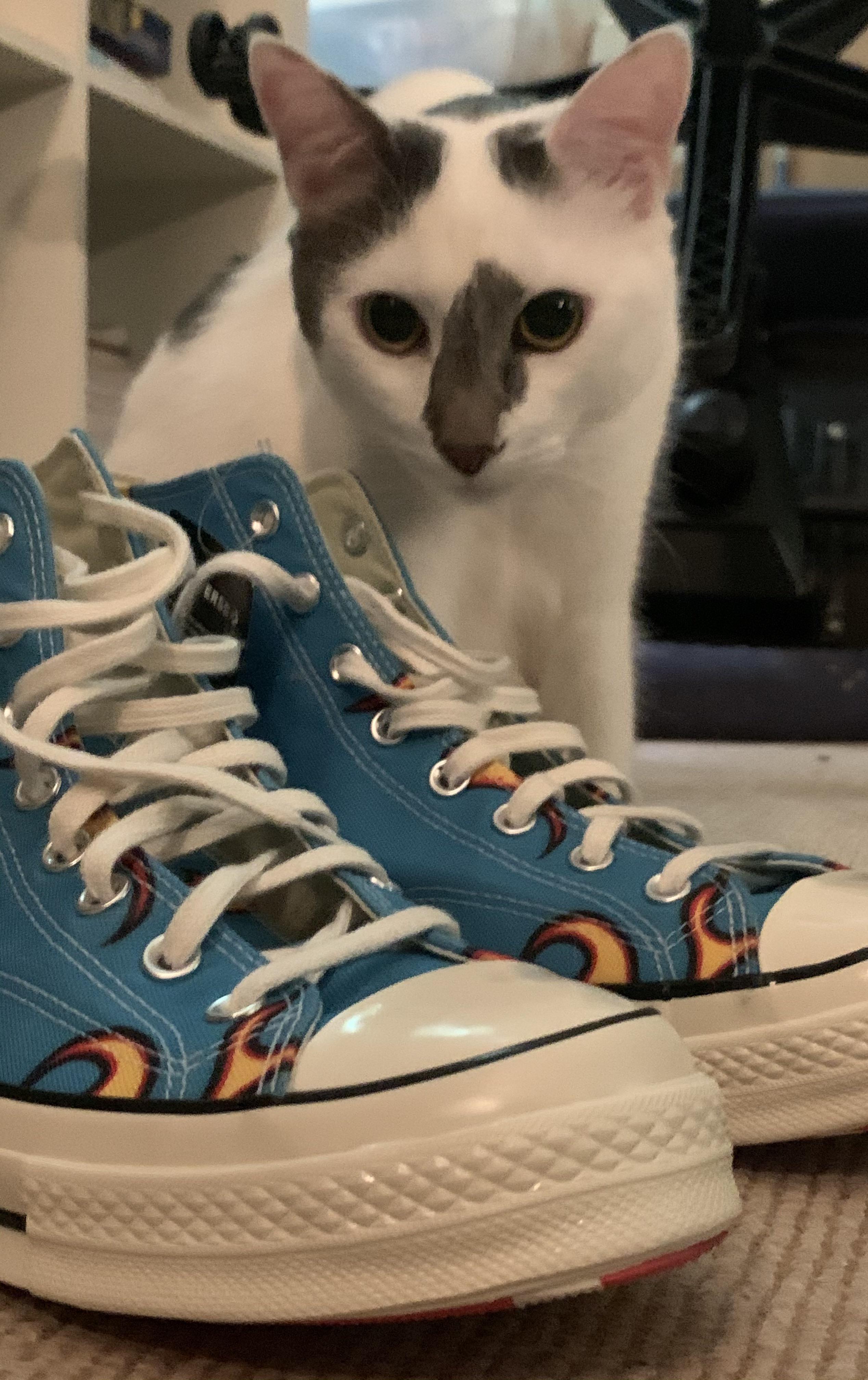 4762 best Holy Grail images on Pholder Grandorder, Holy Grail Memes