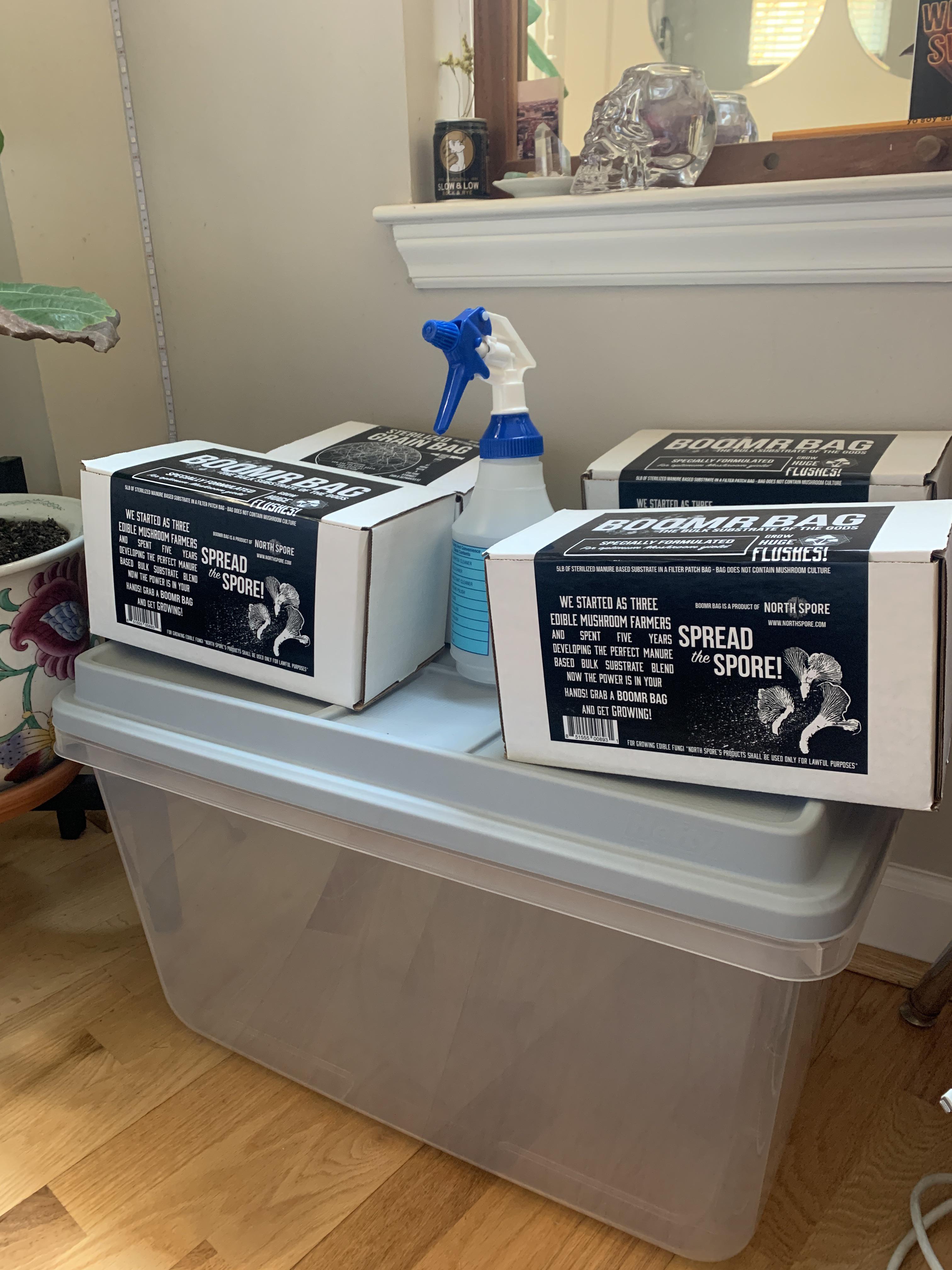 First time monotub! Using the North Spore presterilized grain bag and