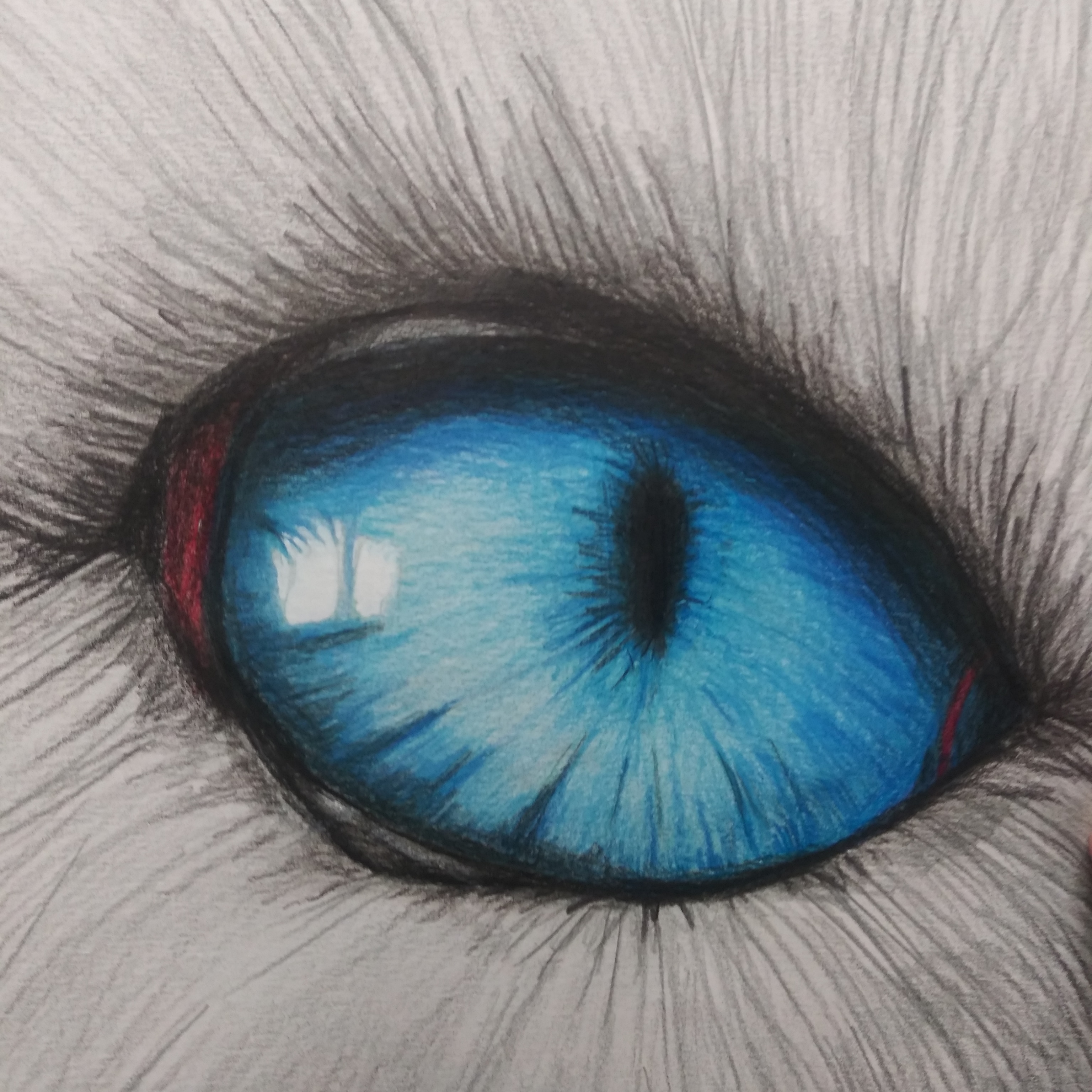An cats eye drawing I did in colored pencils. r/drawing