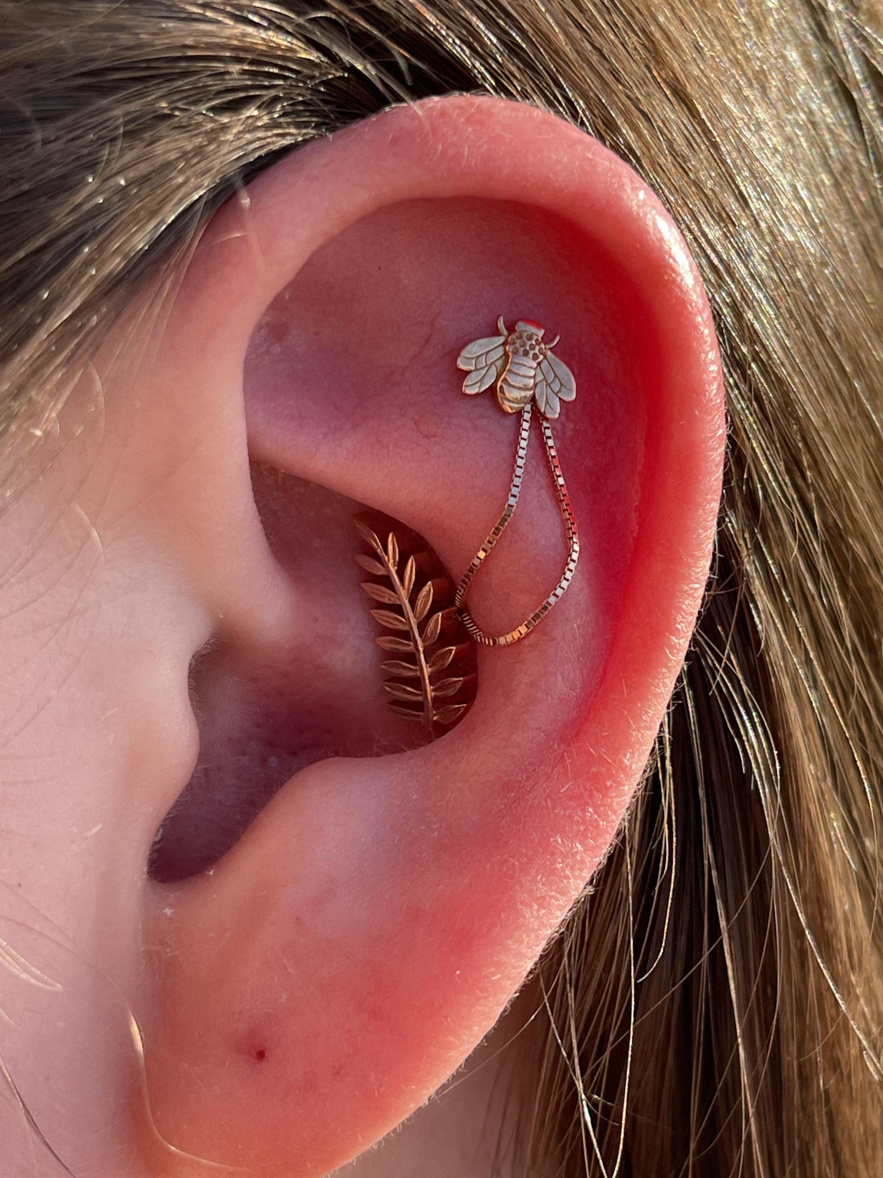 Save the Bees ) r/piercing