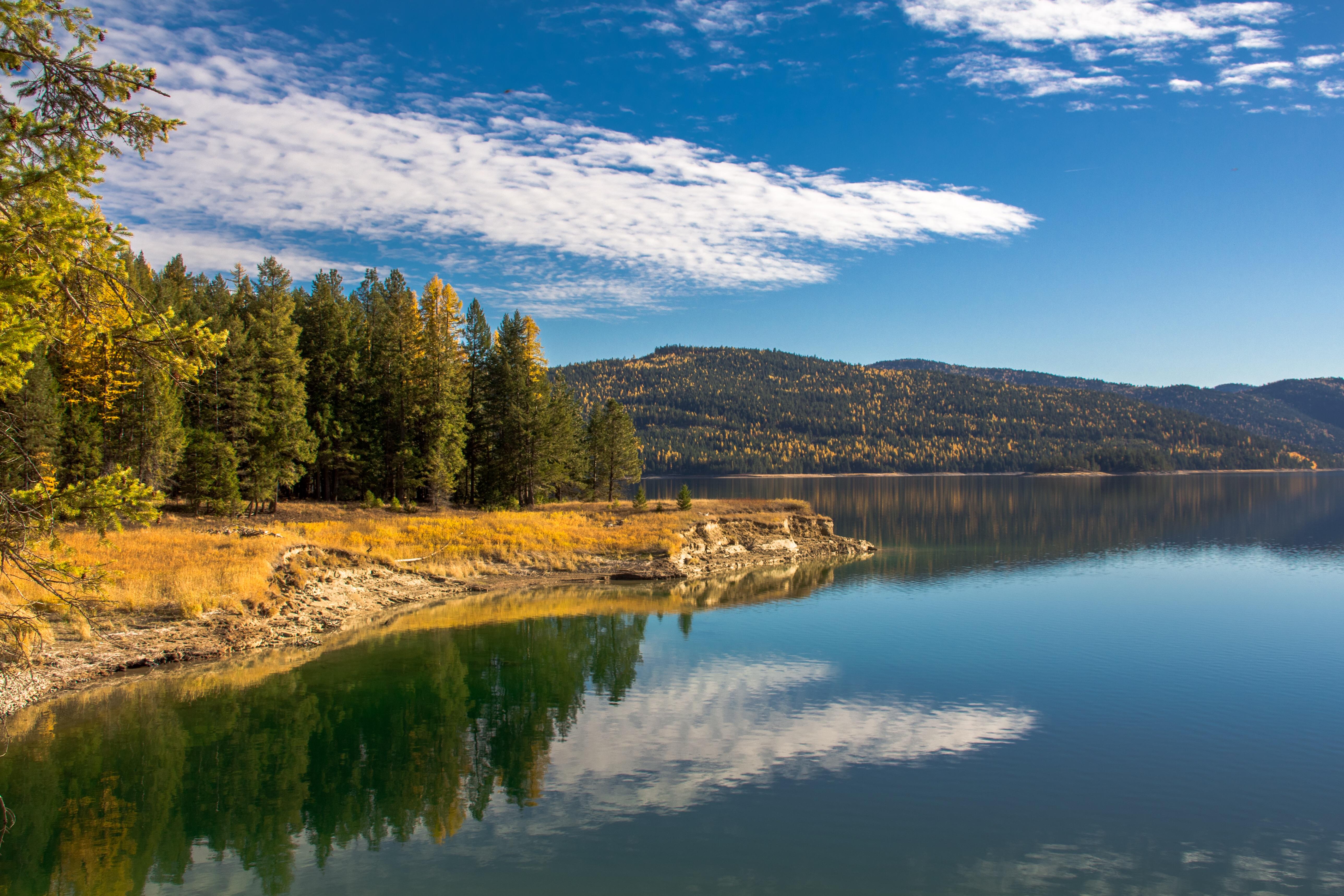 Clear water on Lake Koocanusa, MT [5152X3435] [OC] r/EarthPorn