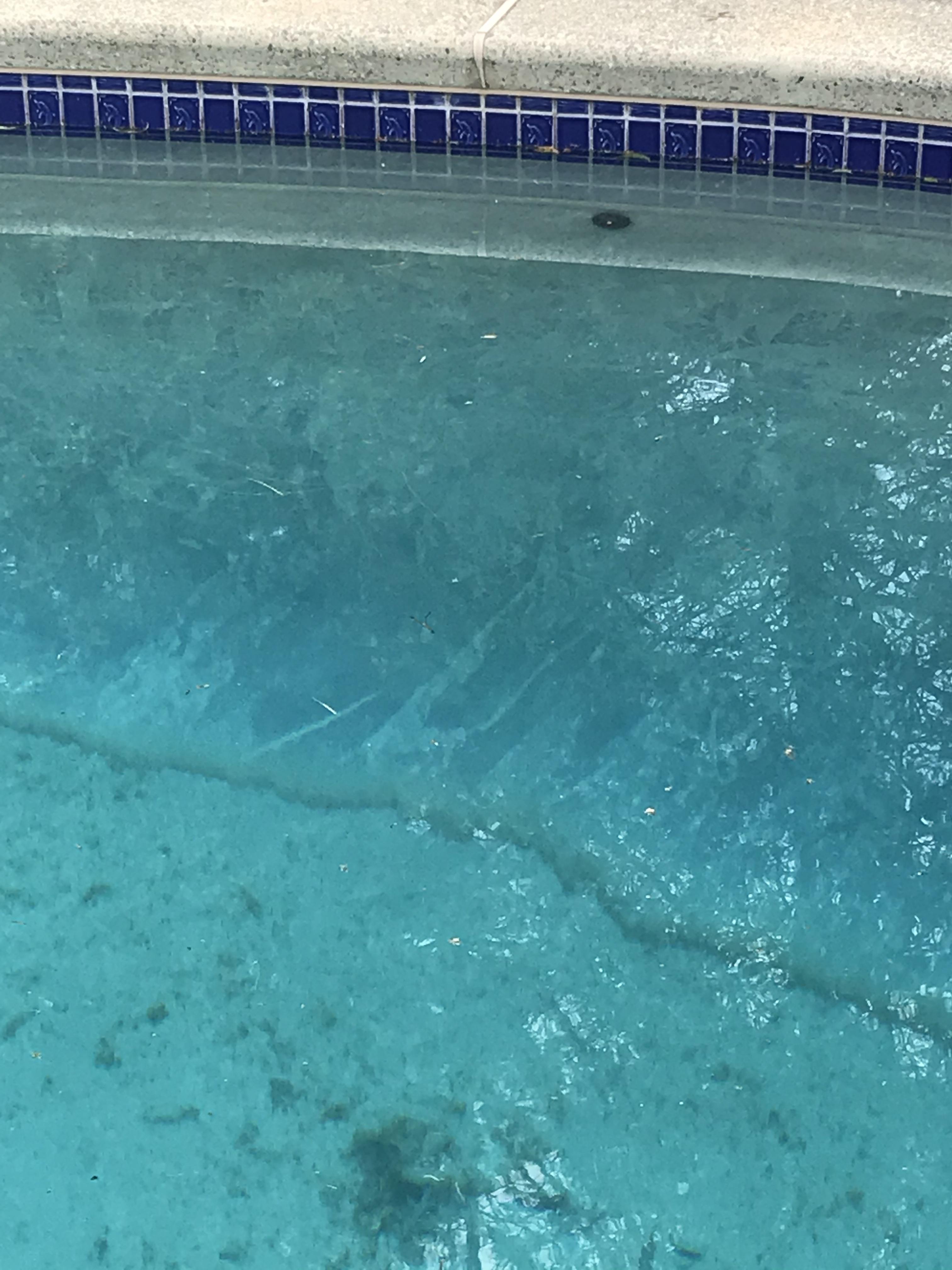 Ring around bottom of pool details in comments help! r/pools