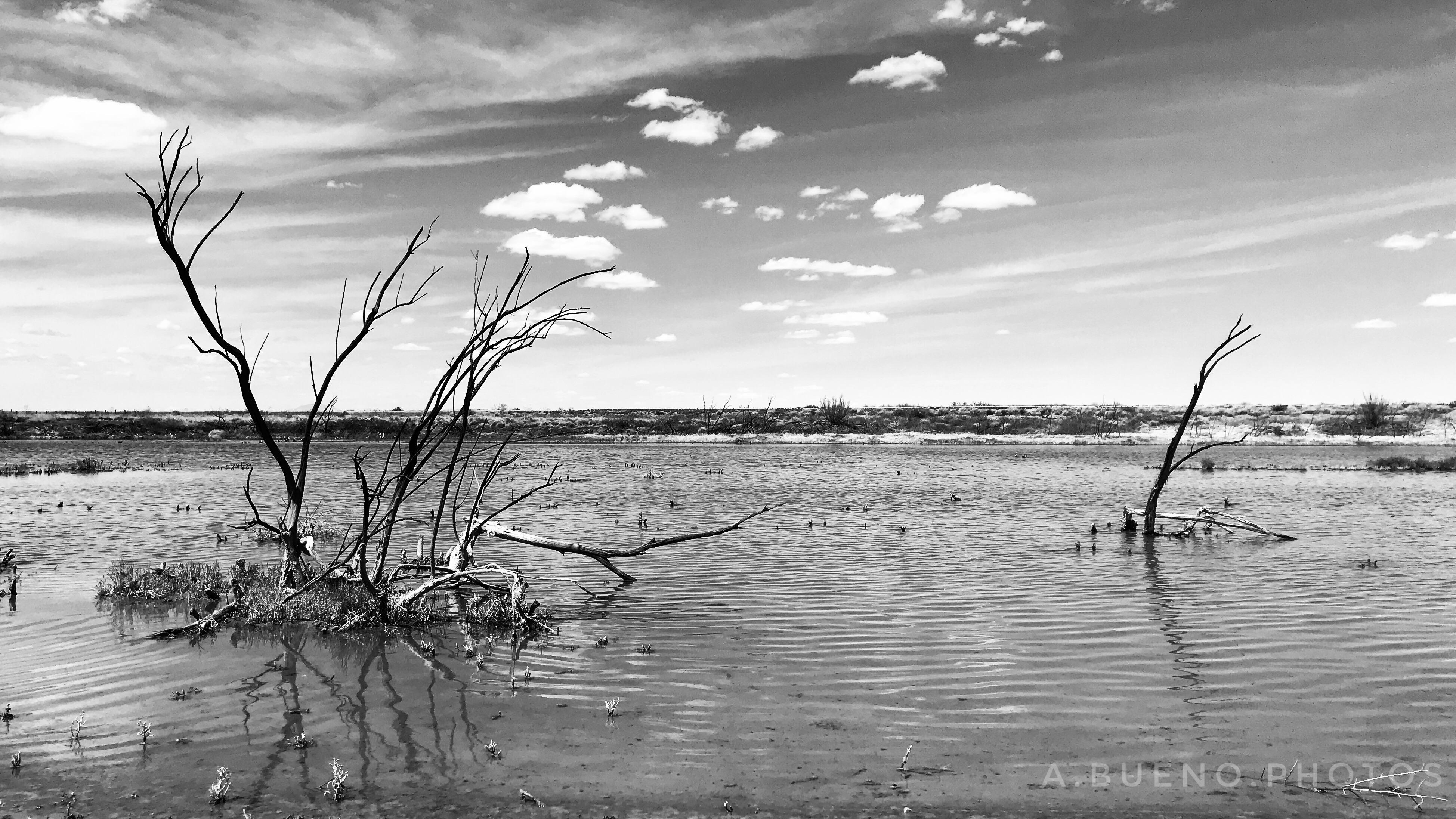Bitter Lake’s views are nothing but. r/NewMexico