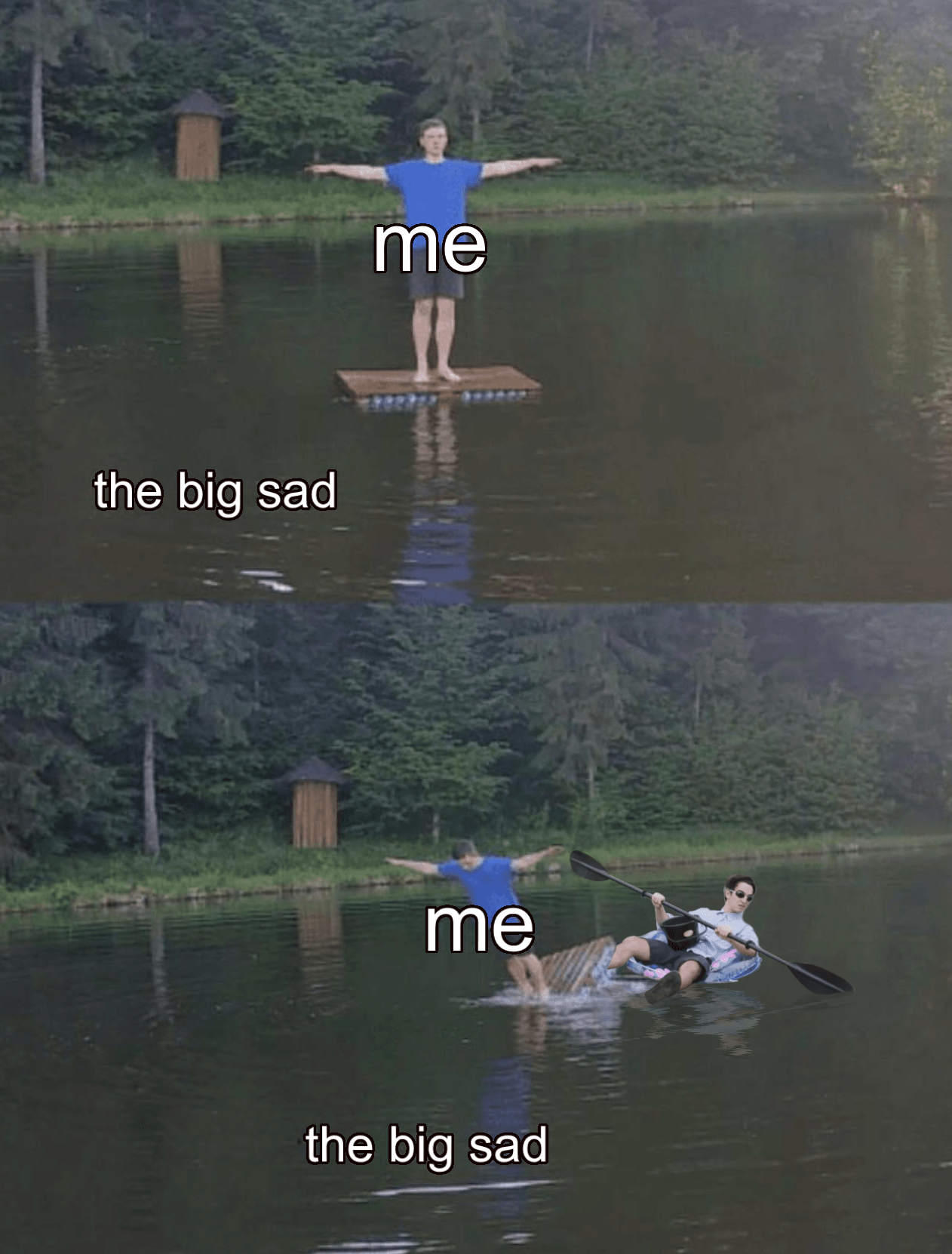 The big sad r/MemeFormats
