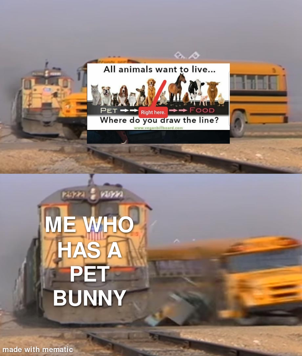 she's cute don't eat her r/memes