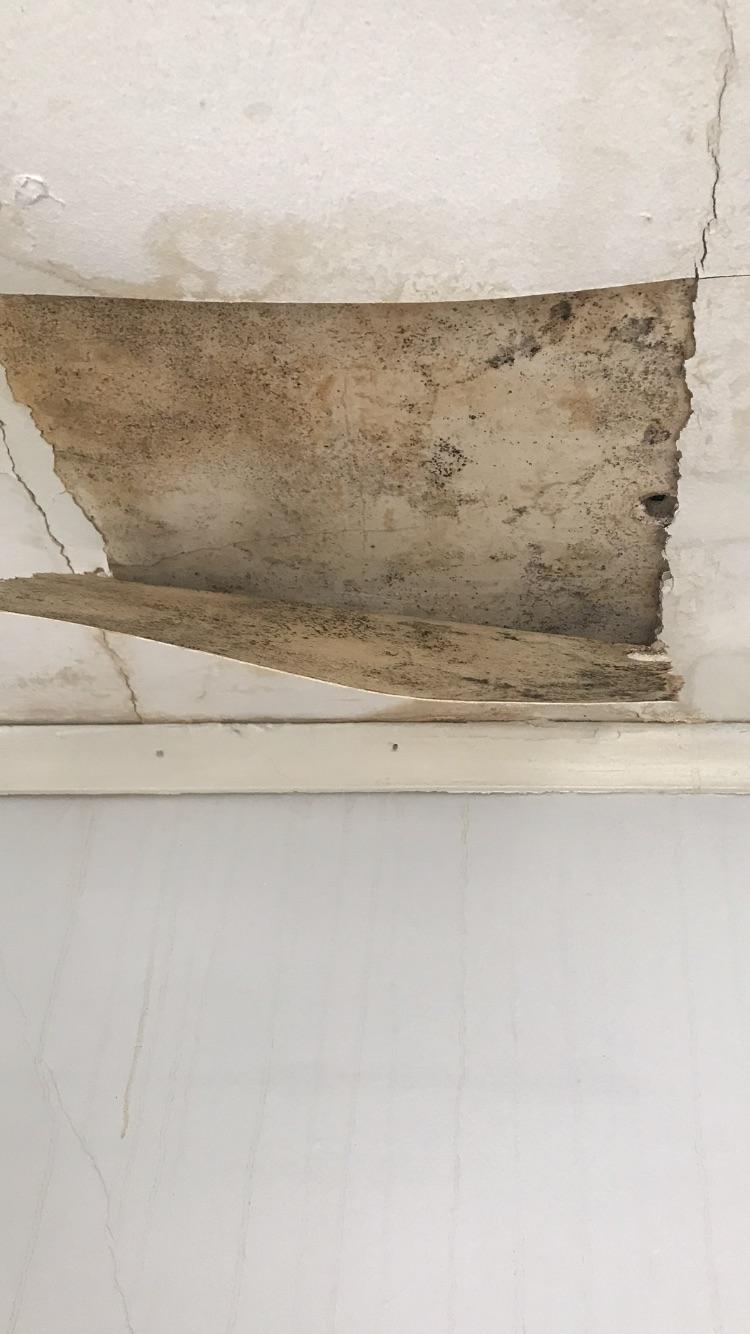 Is this mold? It’s my bedroom ceiling and it leaks pretty badly. r