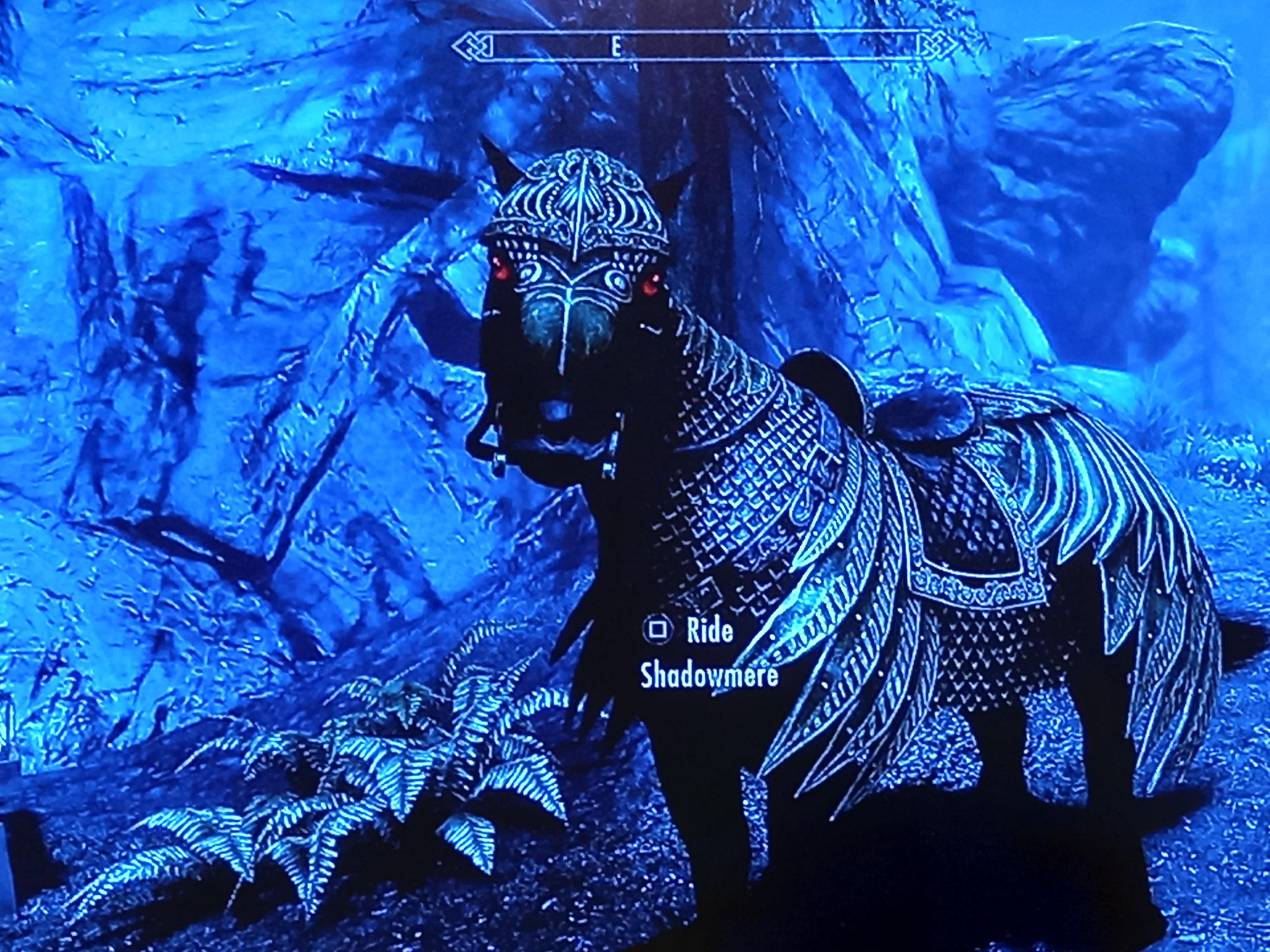 Shadowmere in Elven Armour r/skyrim