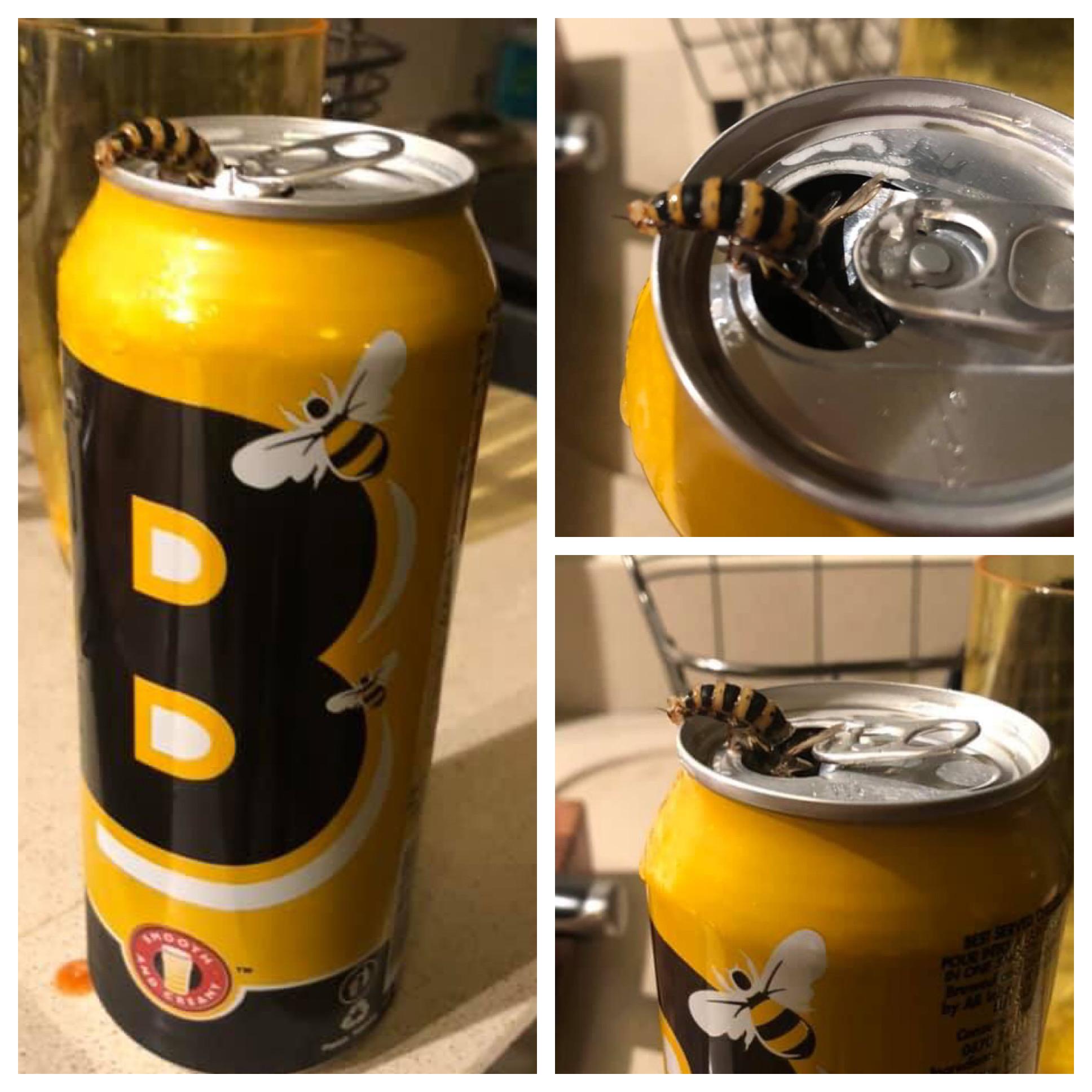 My friends Boddington beer came with bee as per their