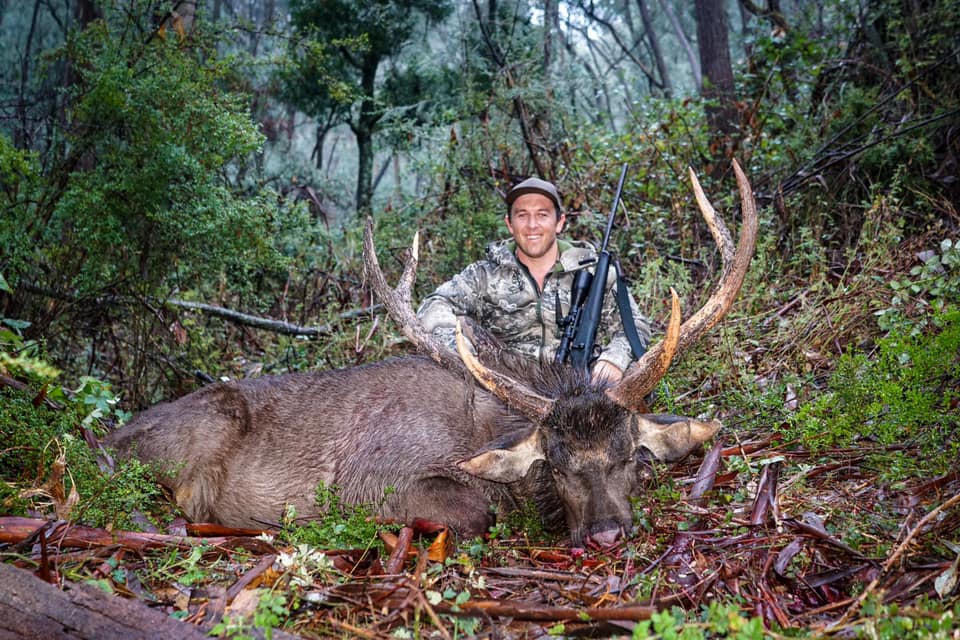 Mate's Sambar Deer in Australia r/Hunting