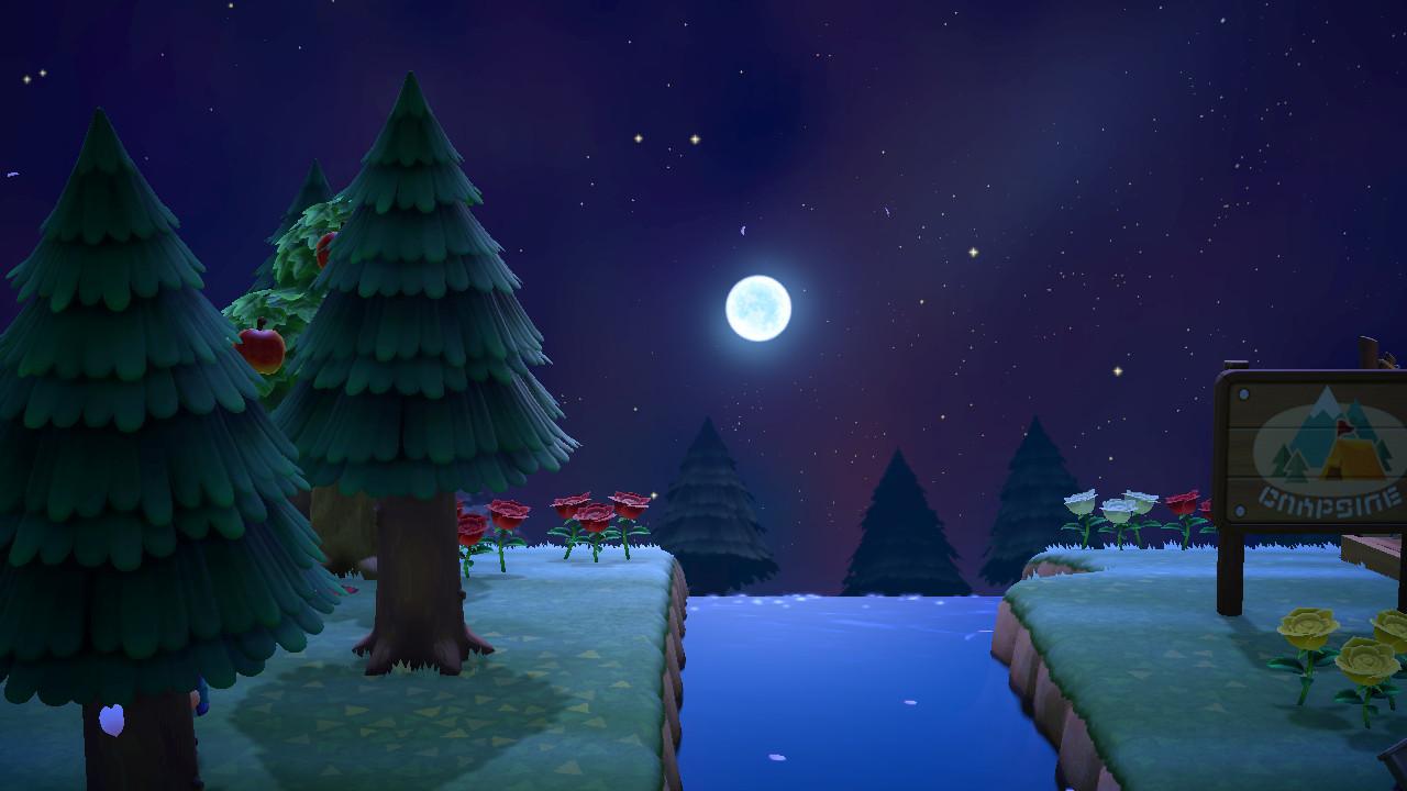 I am absolutely in love with the night sky in this game! r/AnimalCrossing