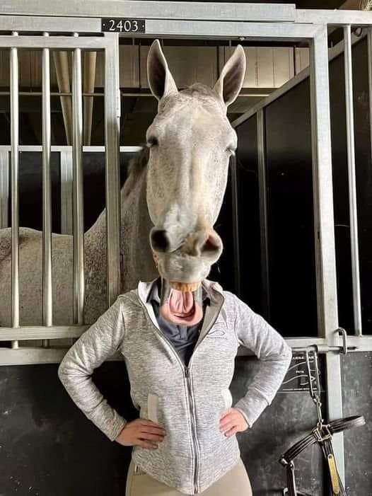 This Horseface r/confusing_perspective