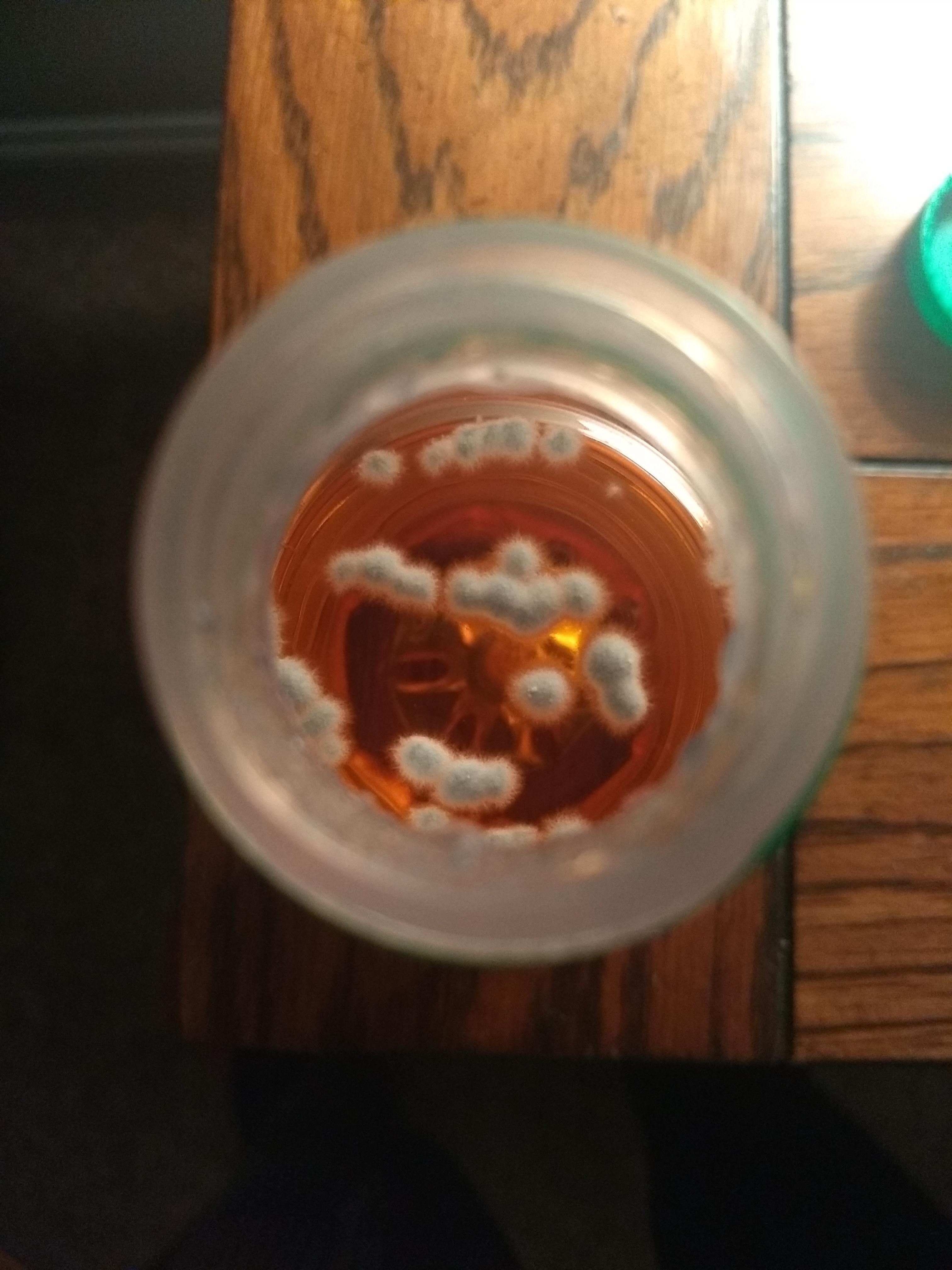 Bacteria growing in apple juice. r/mildlyinteresting