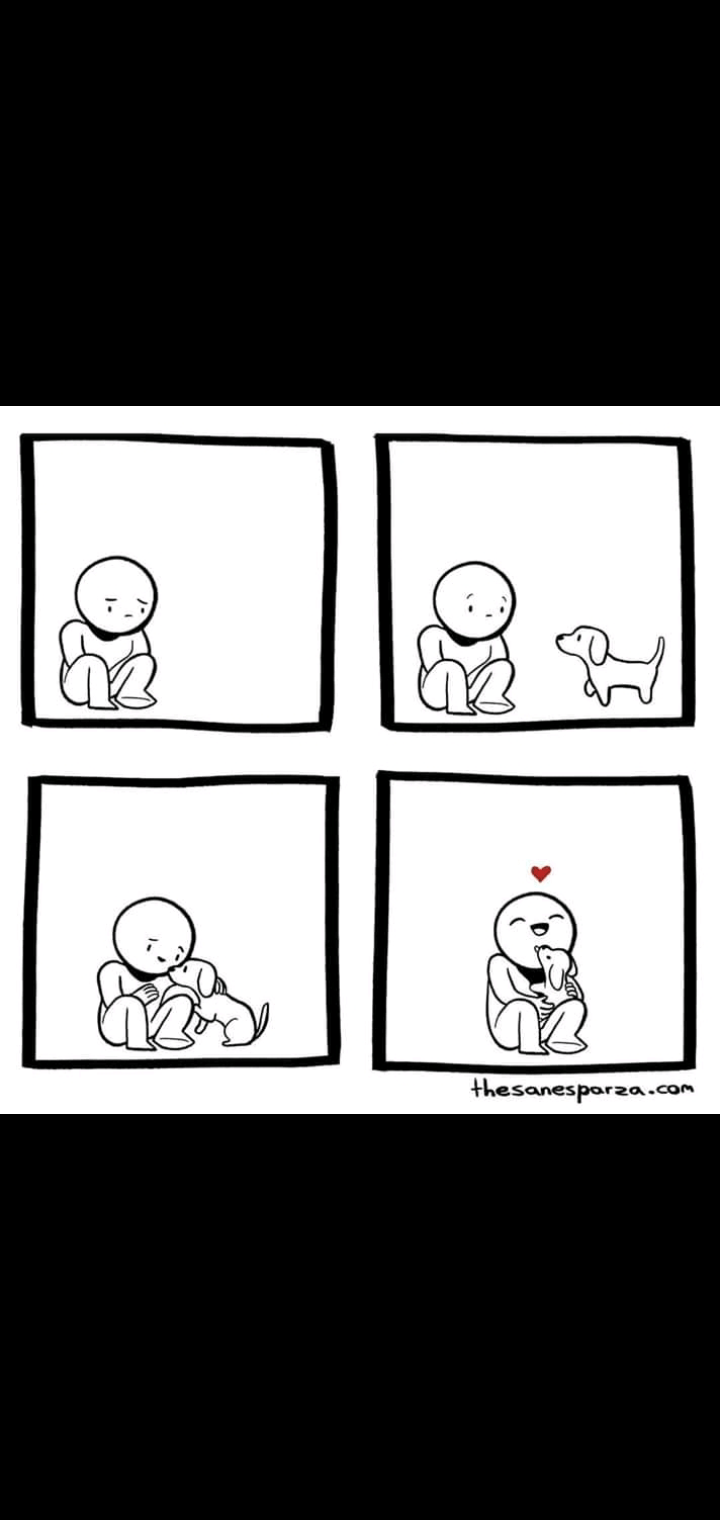 Dogs are the best r/MadeMeSmile