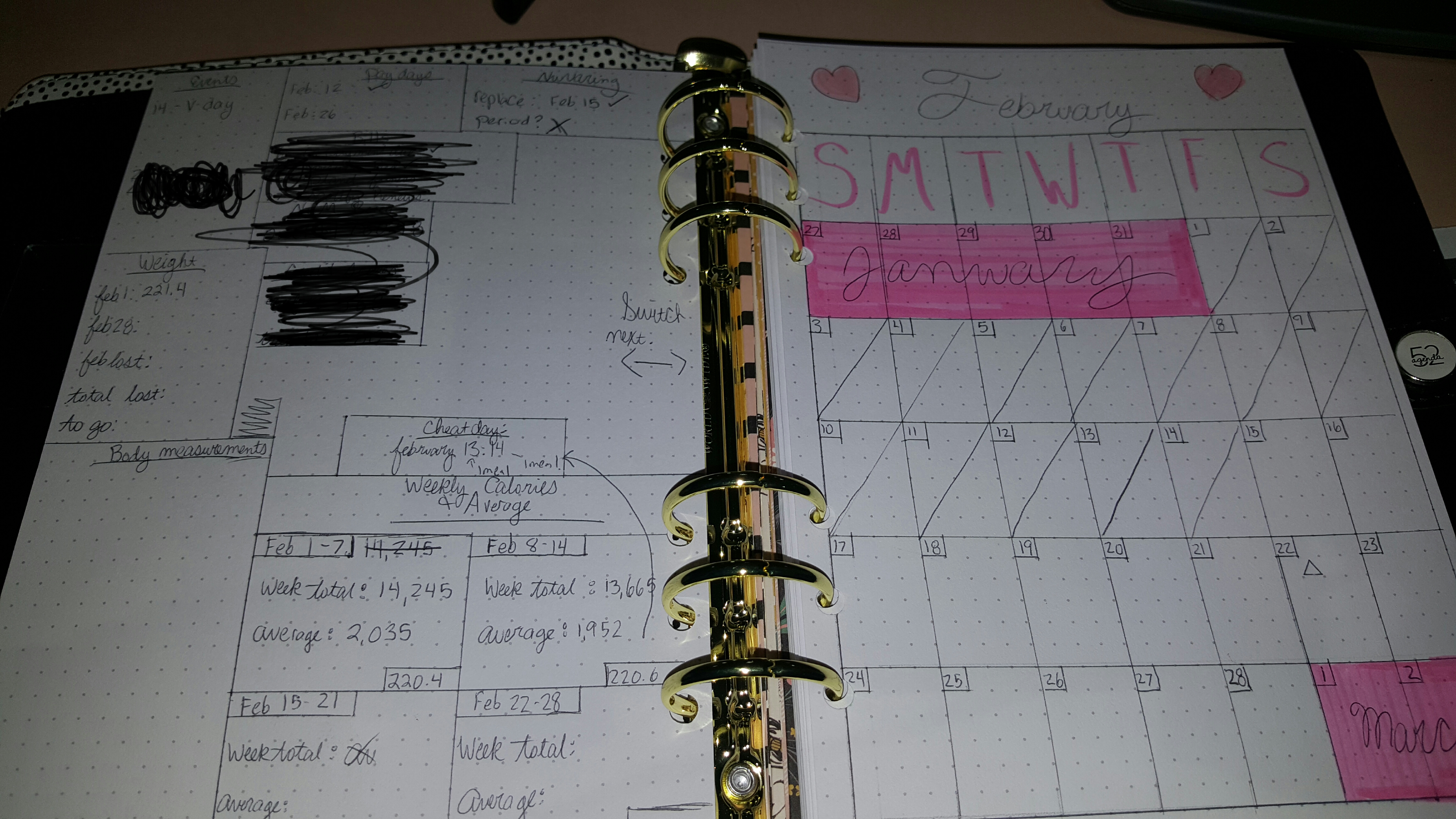 Binderstyle bullet journal supplies at hobby lobby, I'm in love. r