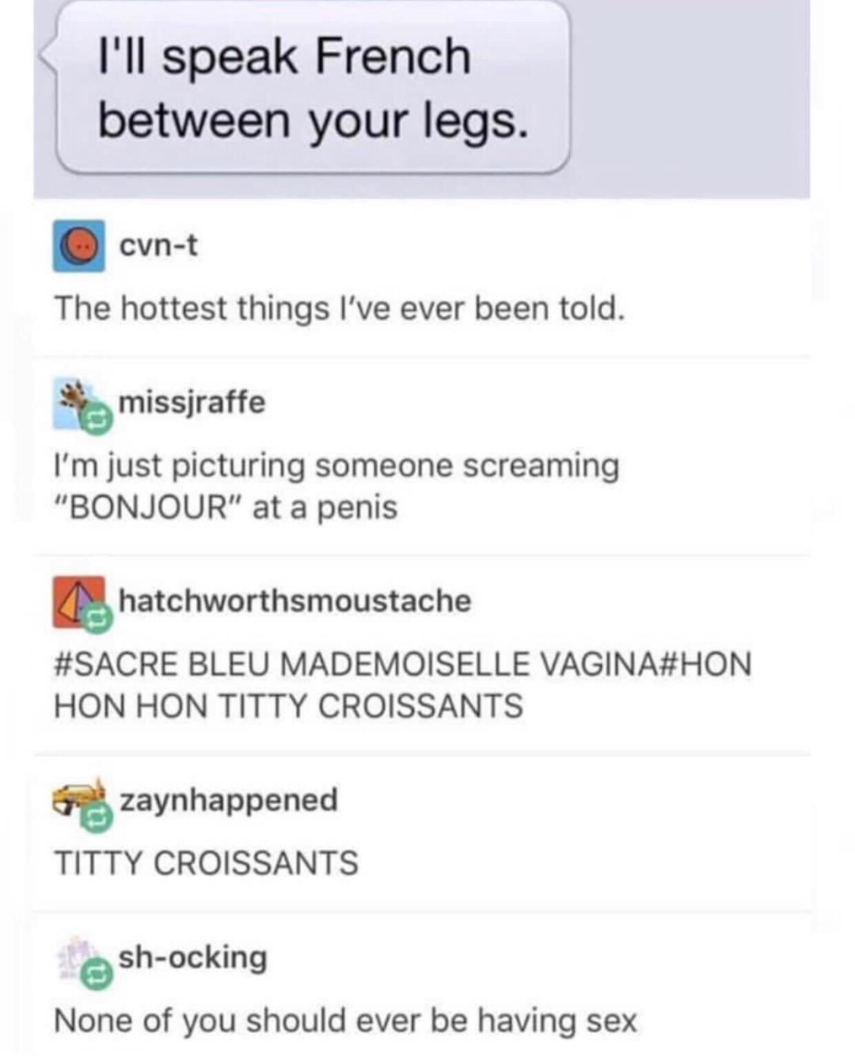 Speak French between your legs r/FrenchMemes