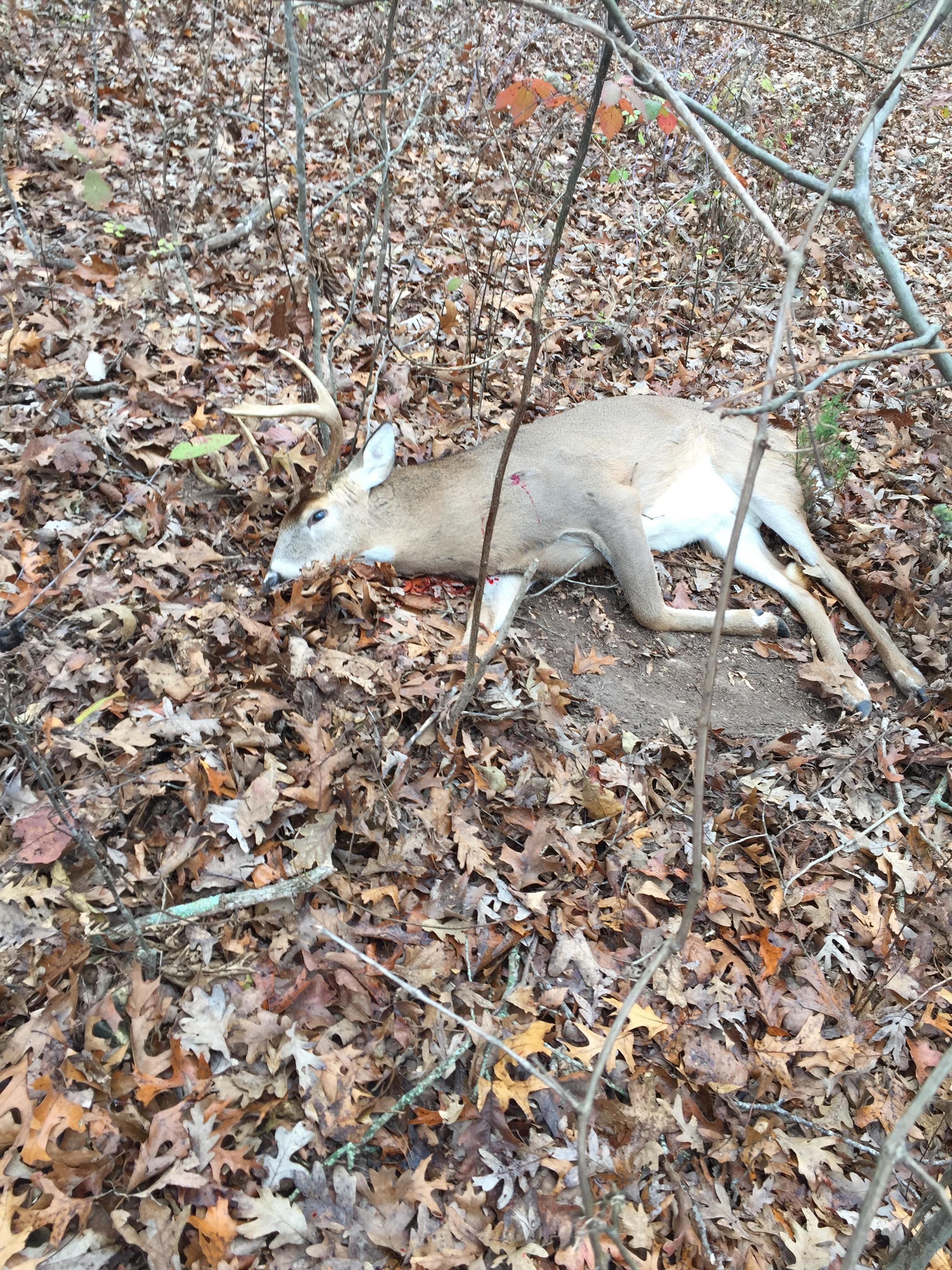 After a month of close calls I finally got him! r/Hunting
