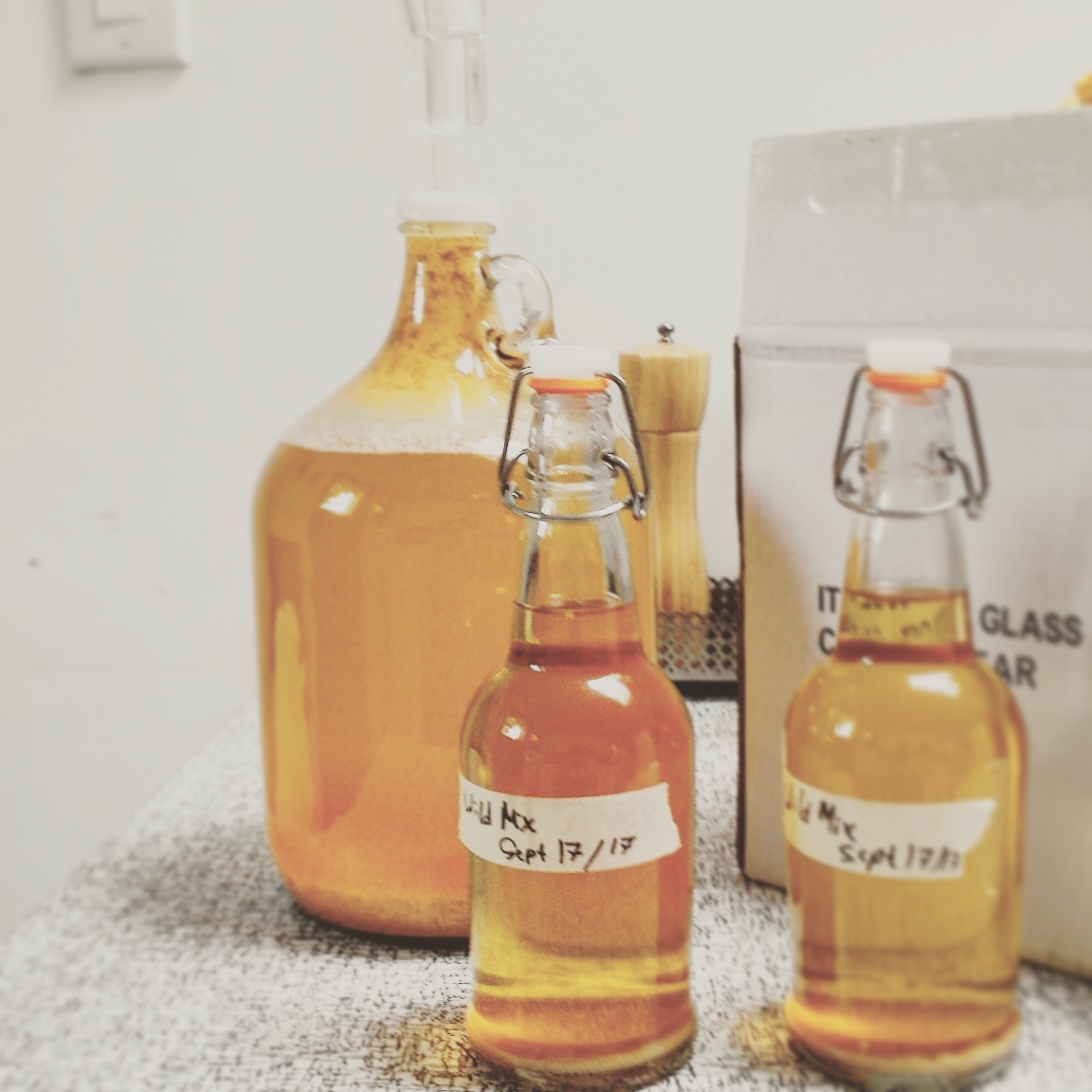 First attempts at cider brewing r/cider