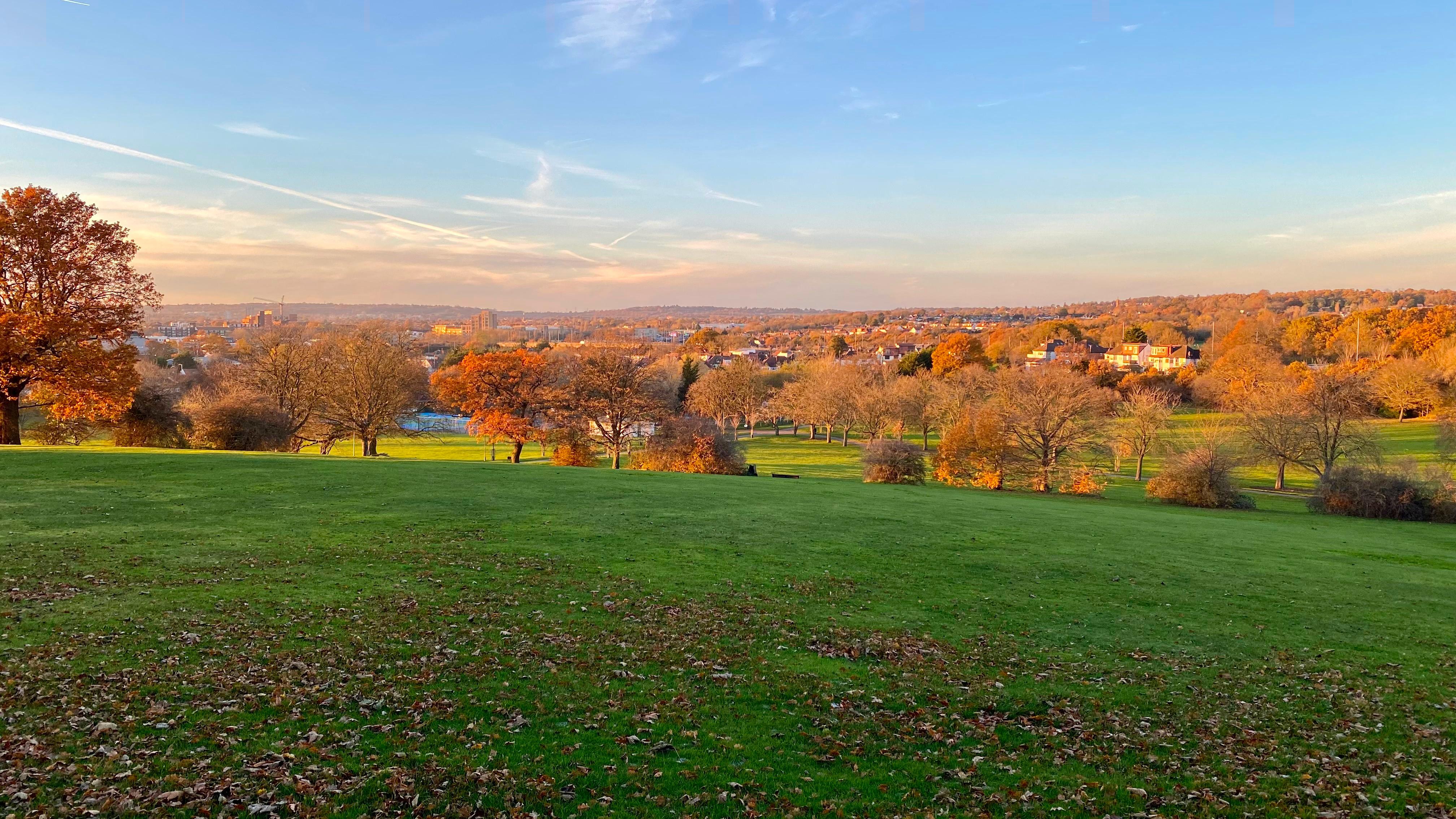 Sunny Hill Park in Hendon r/LondonPics