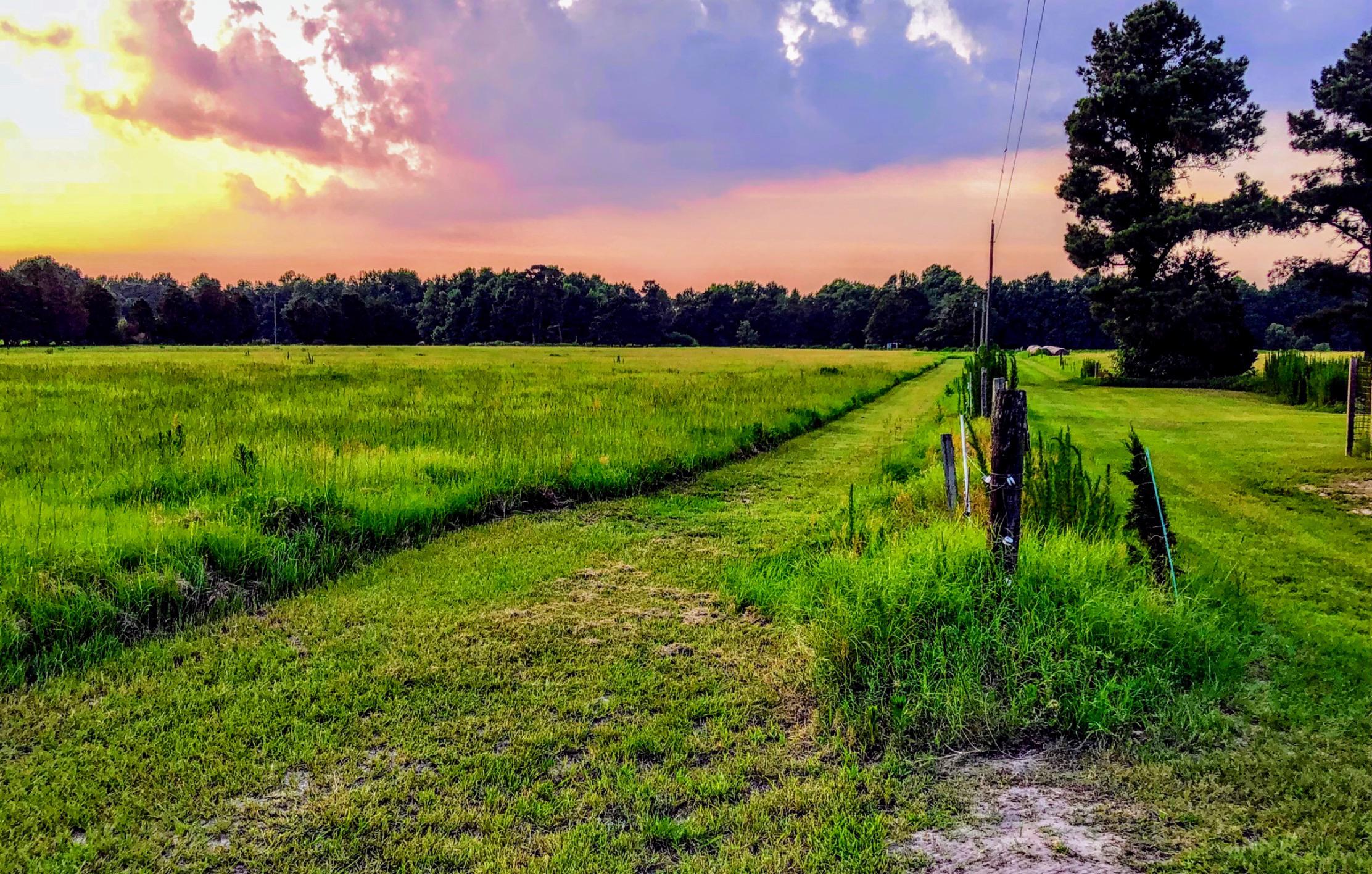 Good night from Pink Hill, N.C.! r/NorthCarolina
