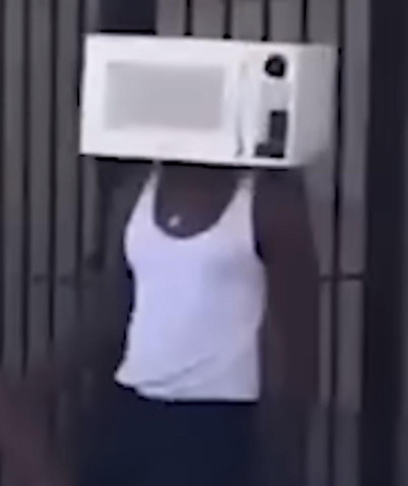 Guys we found another microwave man r/skibiditoilet
