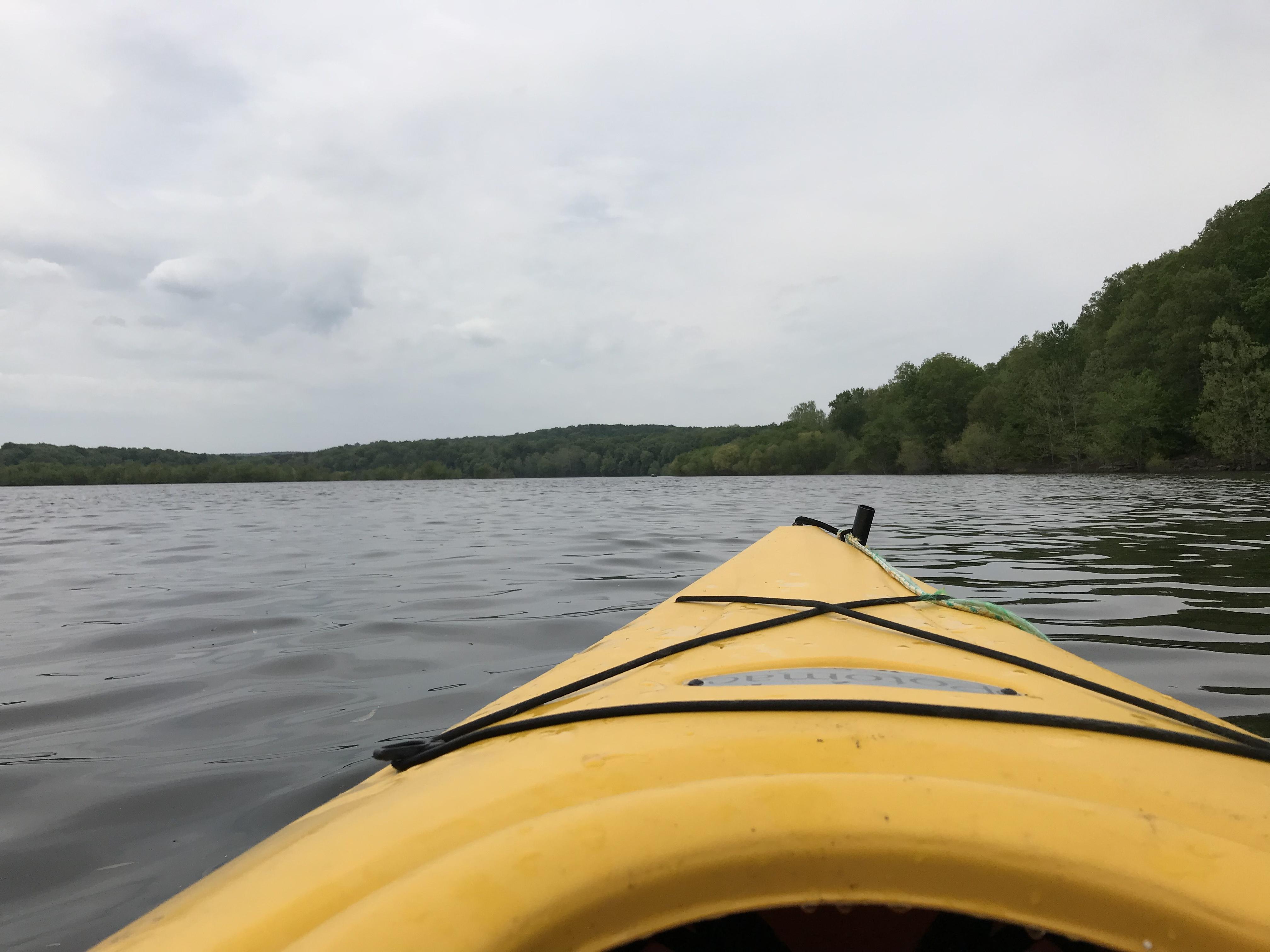 In the Backwaters of Lake Monroe (Brown County, IN) r/Kayaking