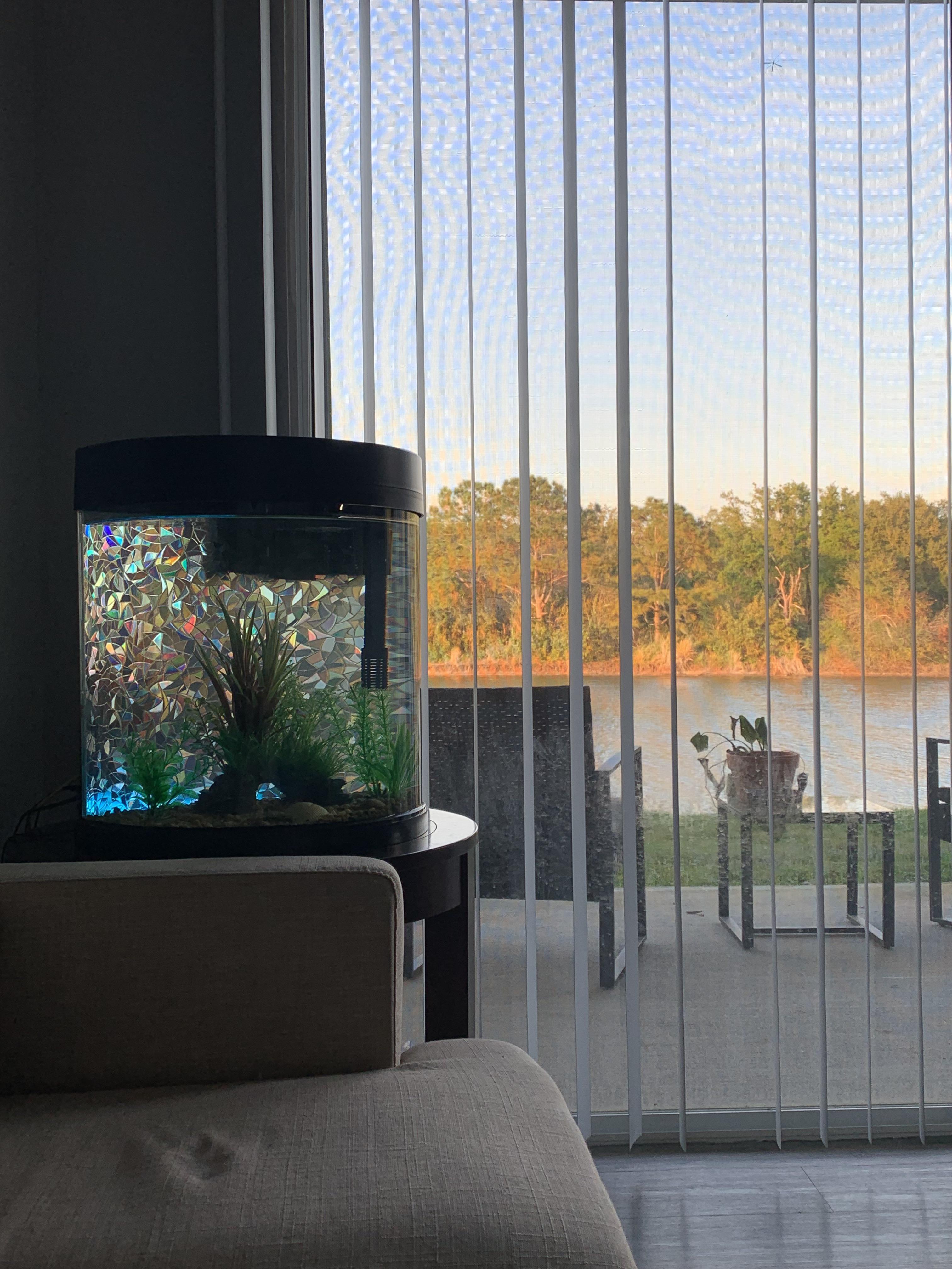 I’m not a huge fan of typical aquarium backgrounds so I tried window