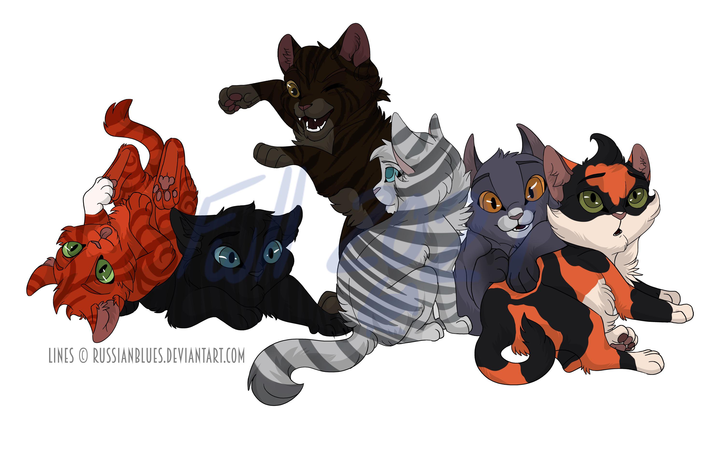 Anime Warrior Cats Kits