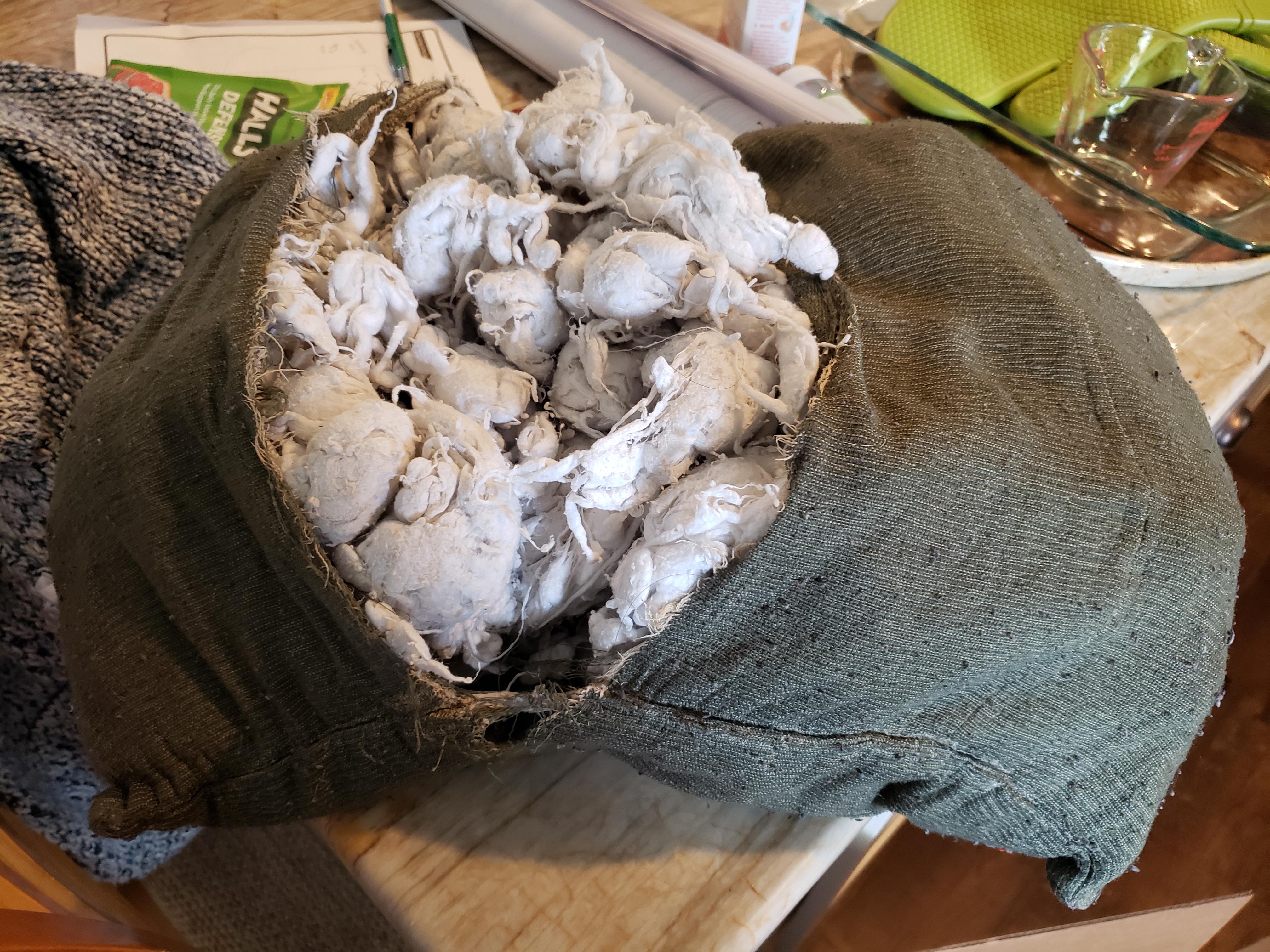 So, I accidentally destroyed my pillow in the wash and the tags have