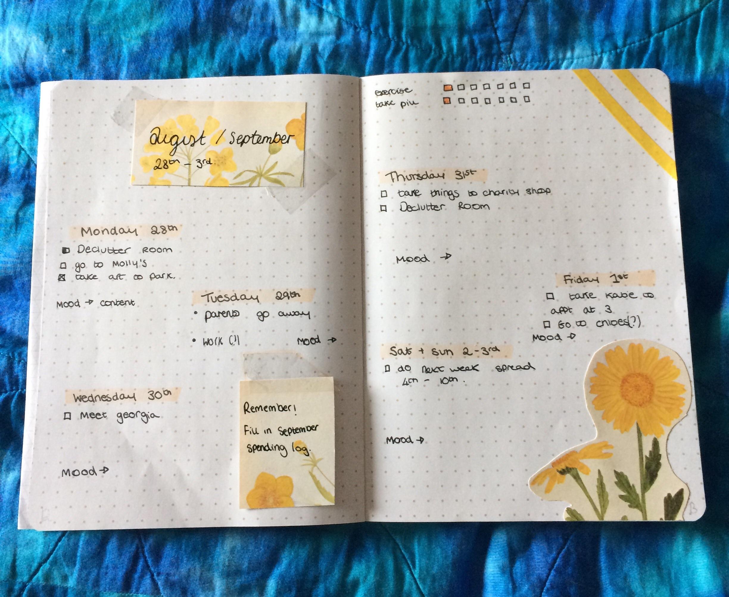 Started a bullet journal this week. My first (very simple and bare