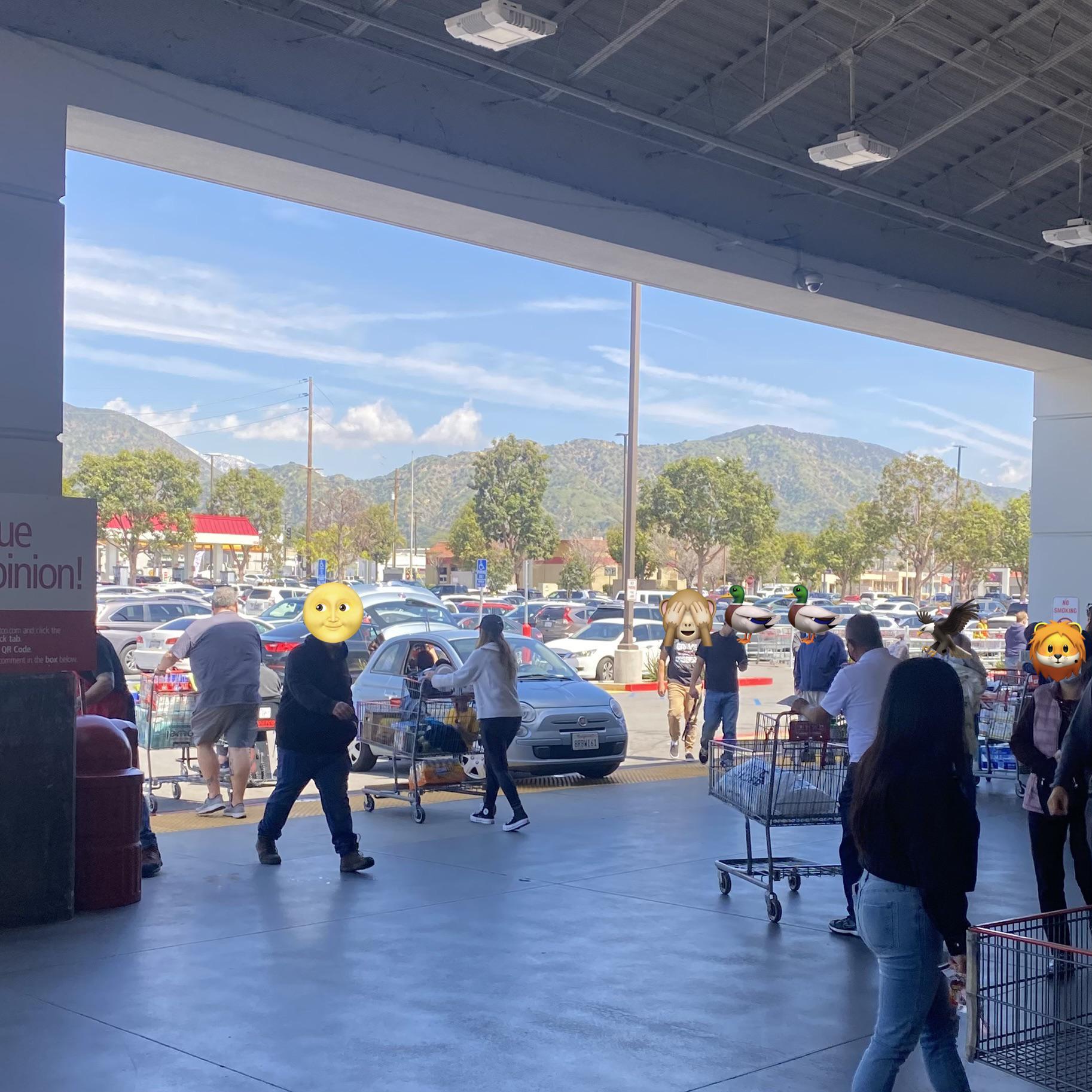 Exclusive loading zone for Executive members only /s r/Costco