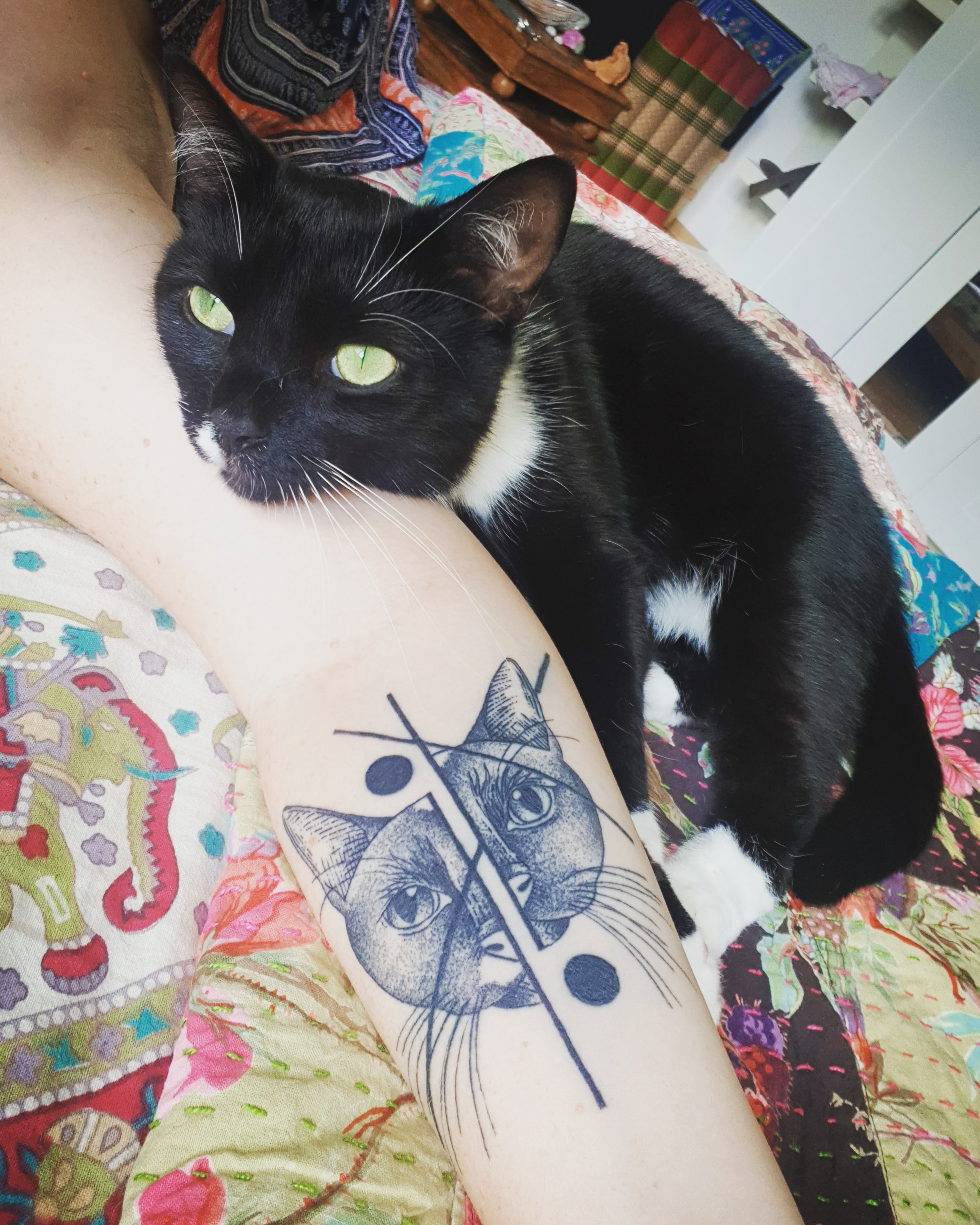 Show Us Your Cat Tattoos 3060_x_2448_jpg