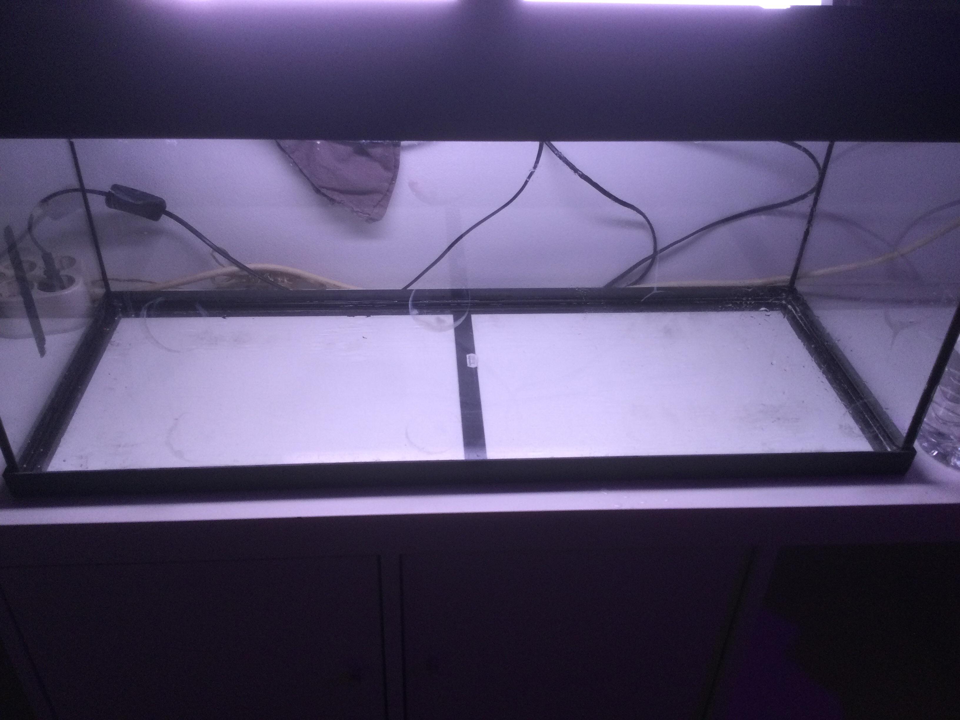 I bought this aquarium second hand; how do i clean off these dang circle stains?? I tried using