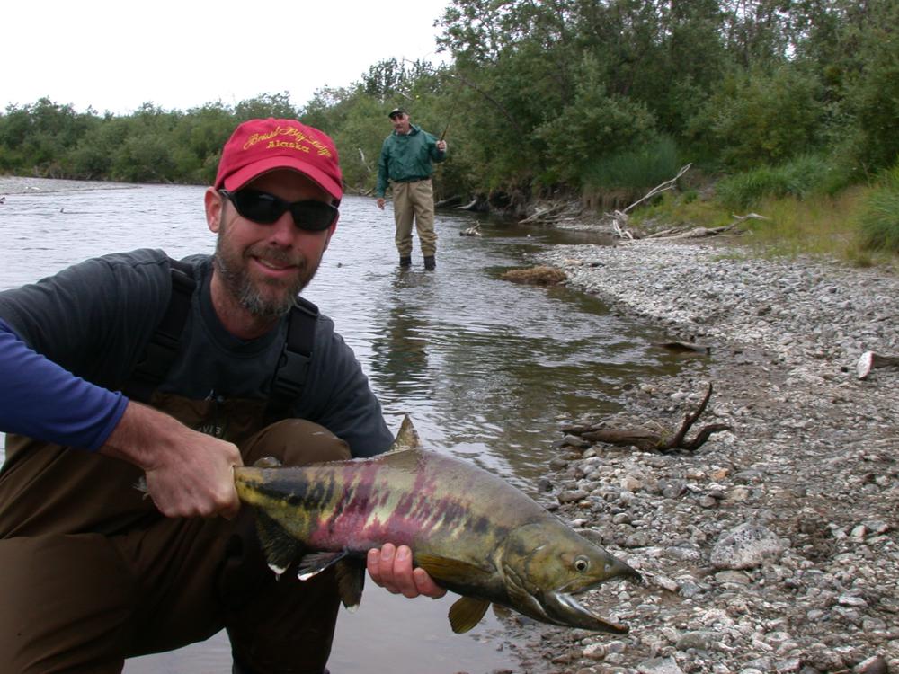 Bristol Bay, AK r/flyfishing